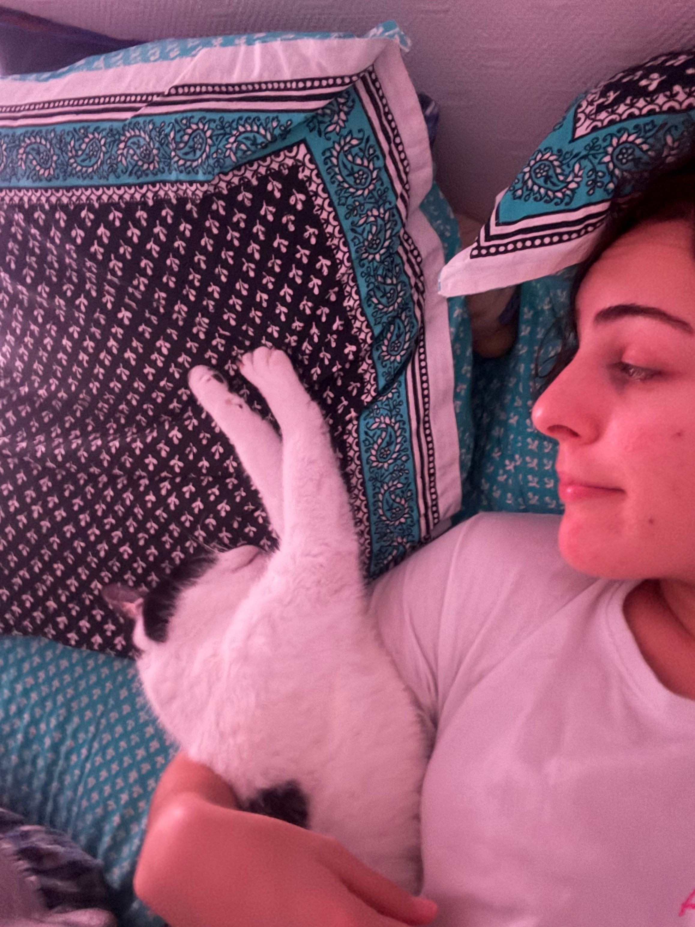 image-7