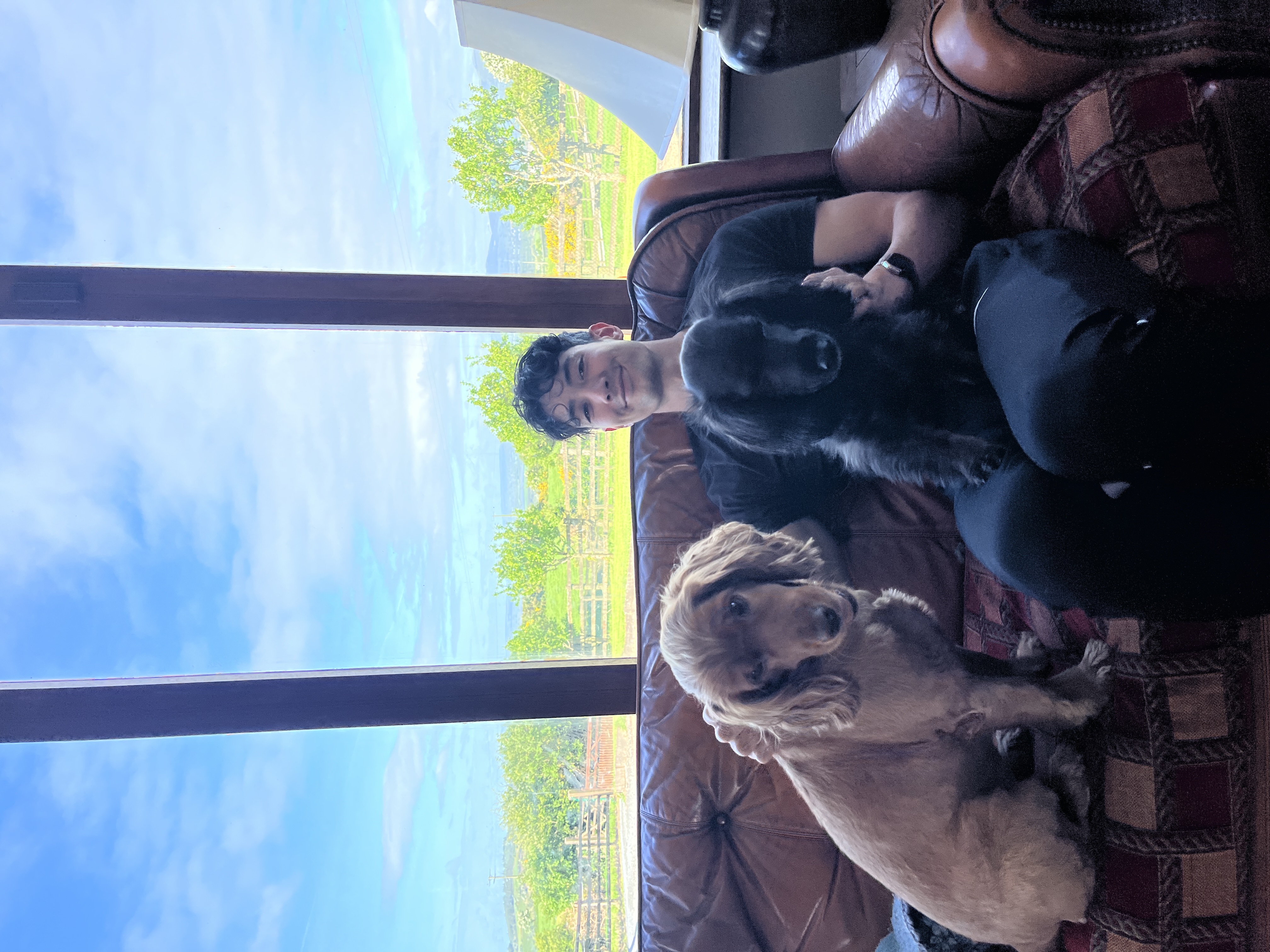 image-7