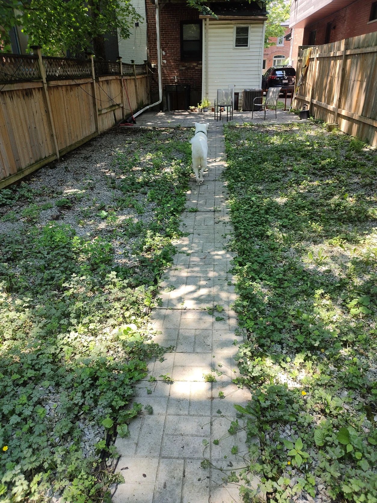 image-19