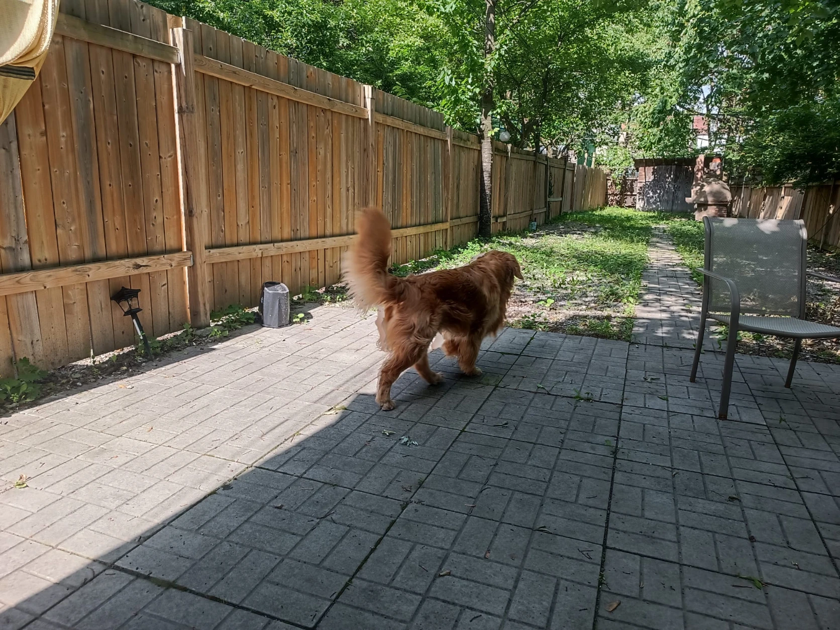 image-18