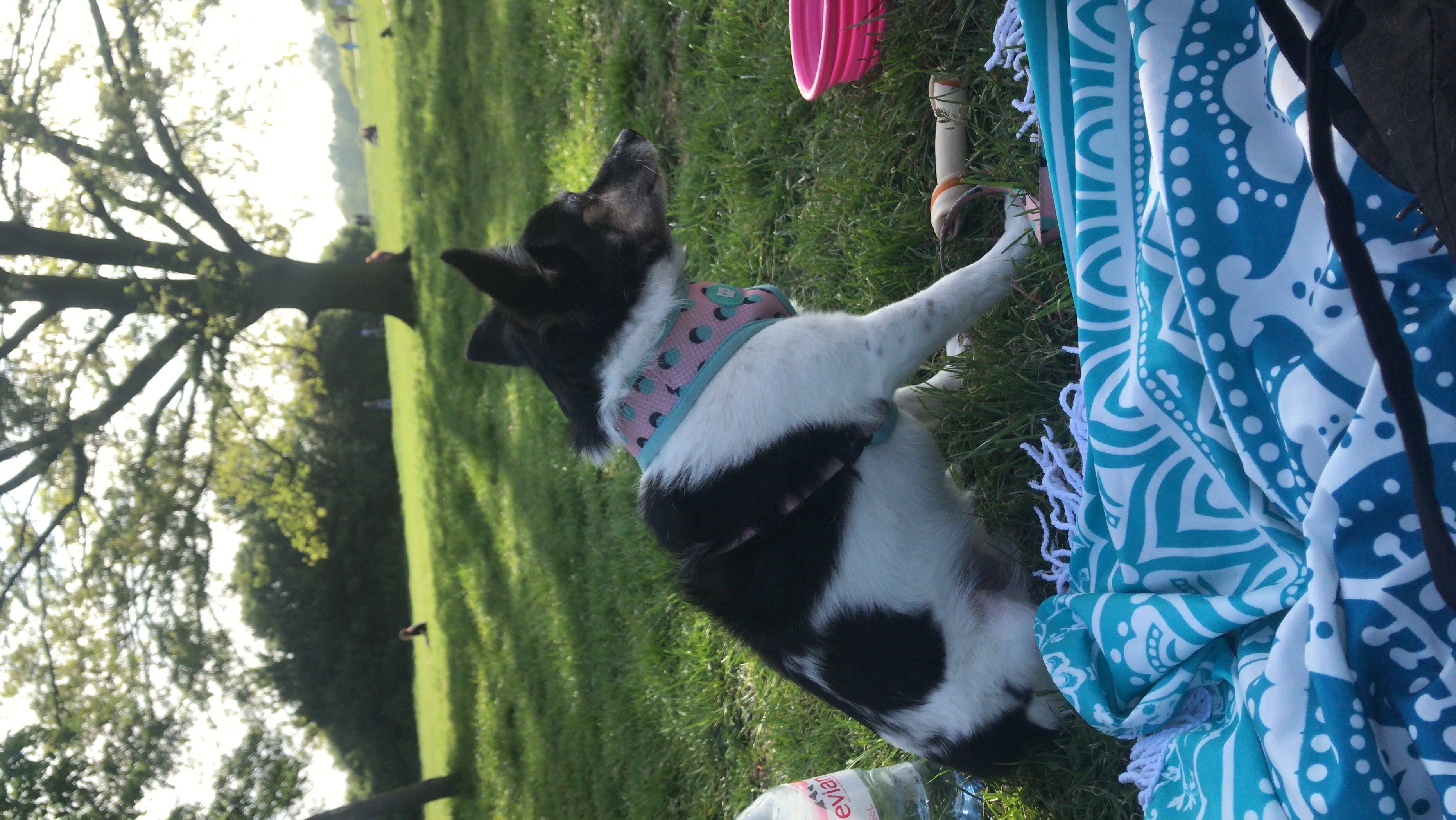 image-7