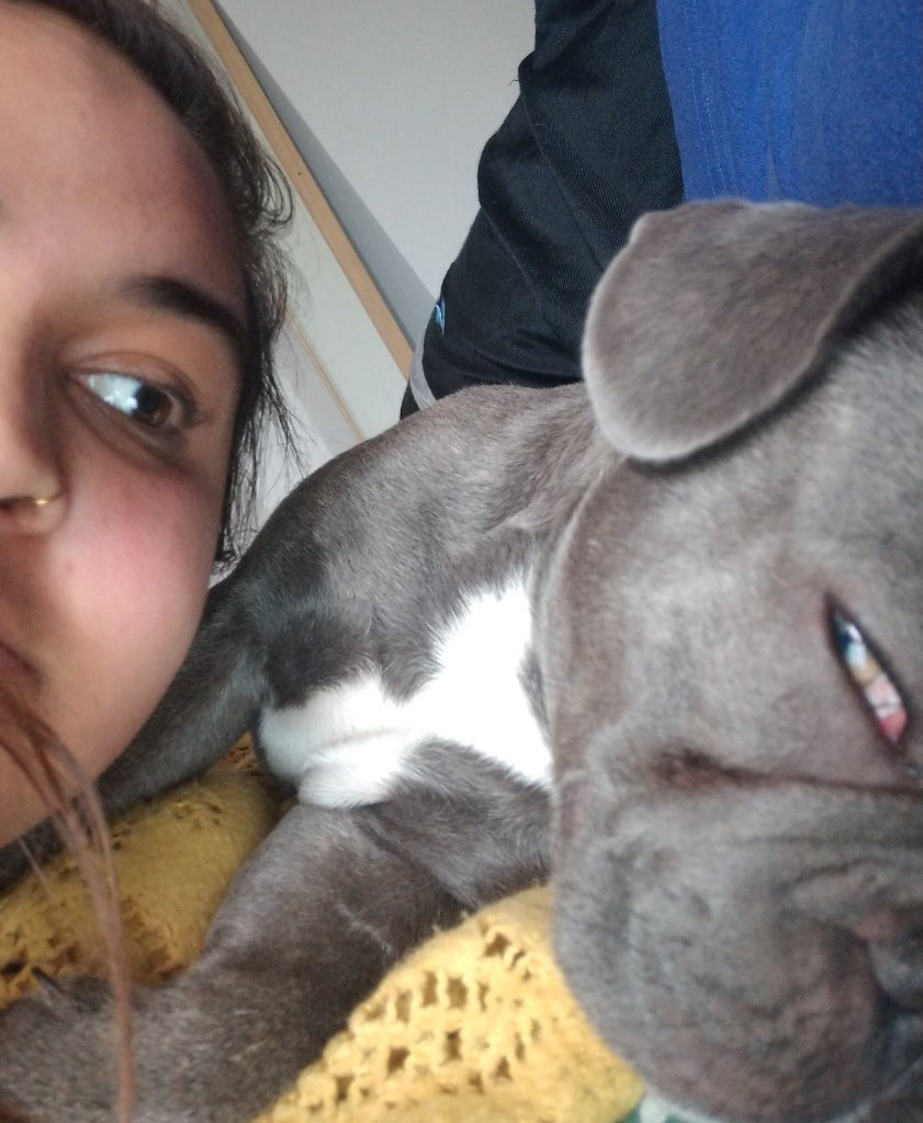 image-7