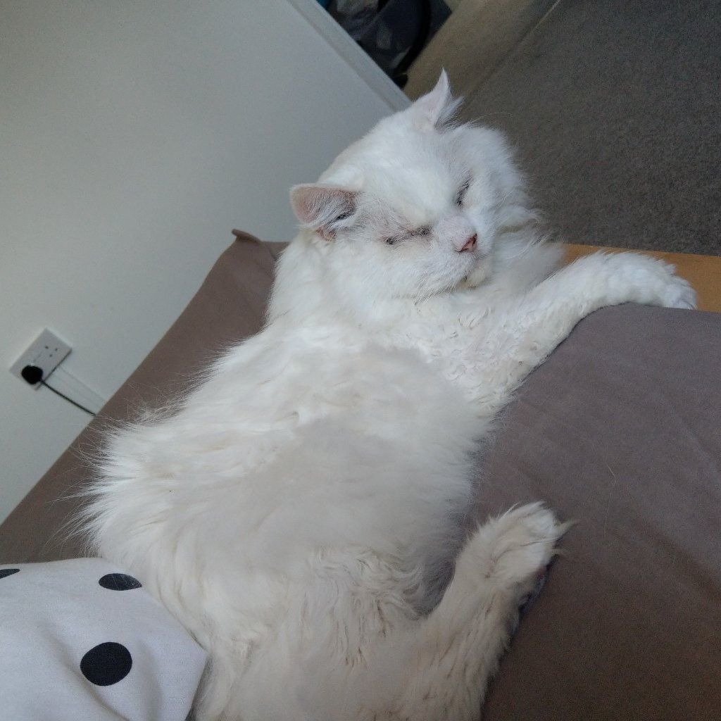 Cloud