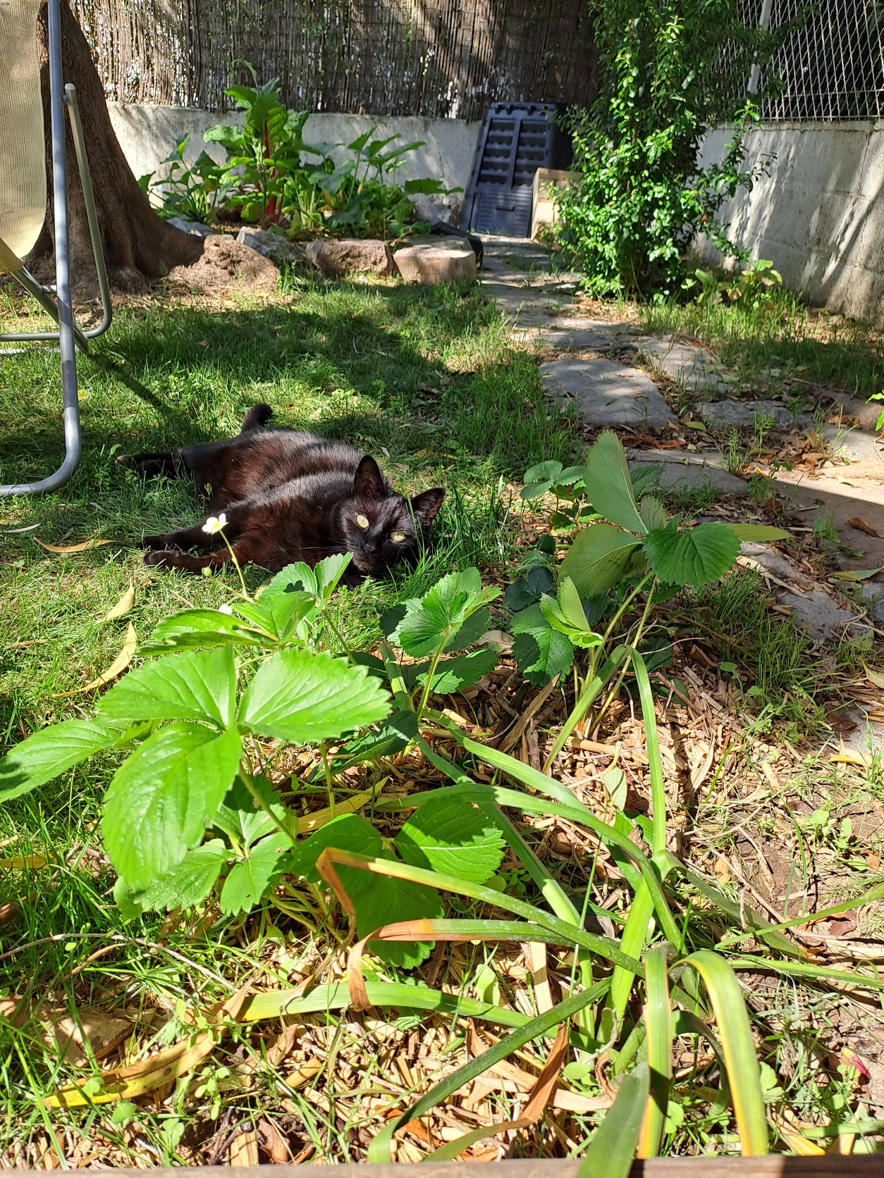 image-13