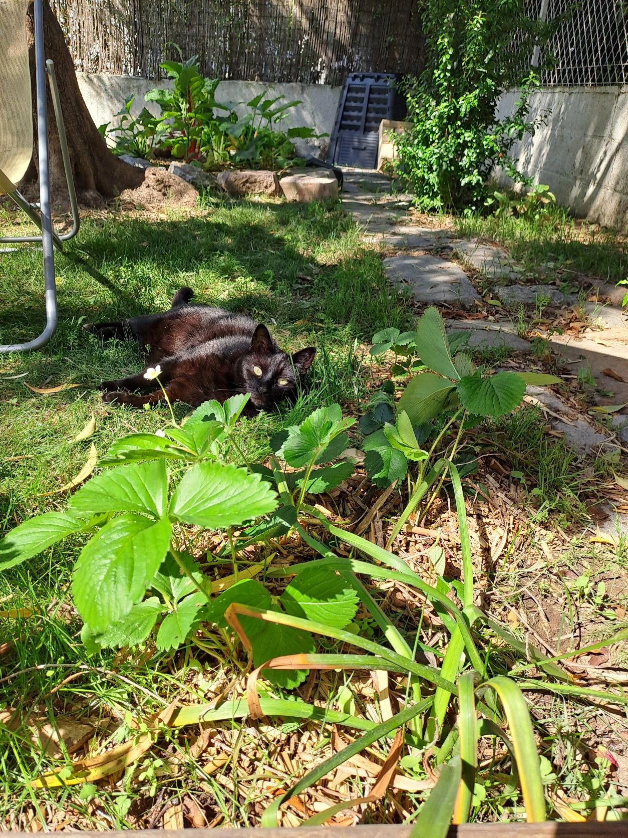 image-13
