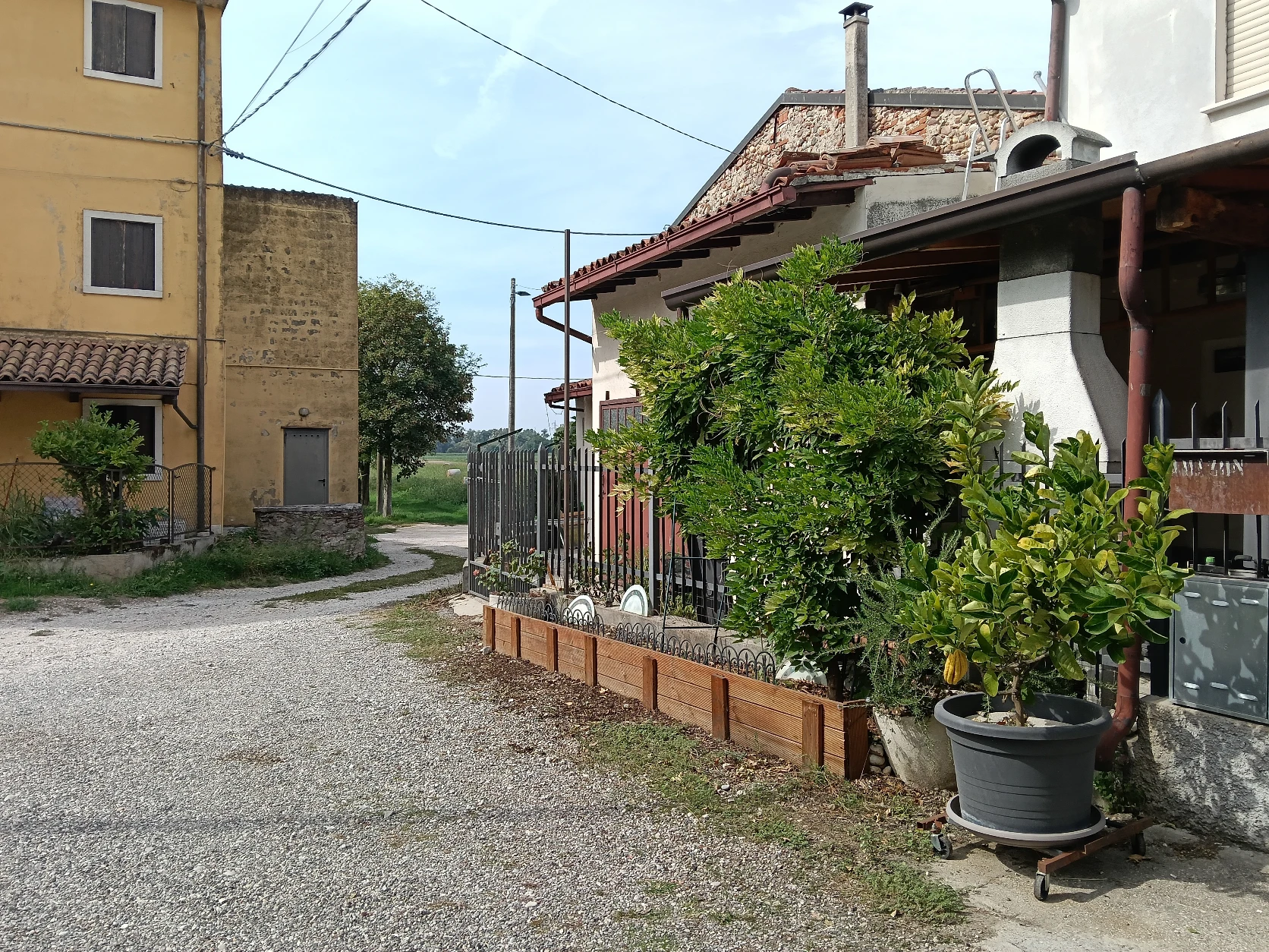 image-19