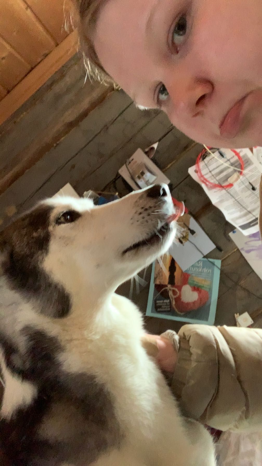 image-8
