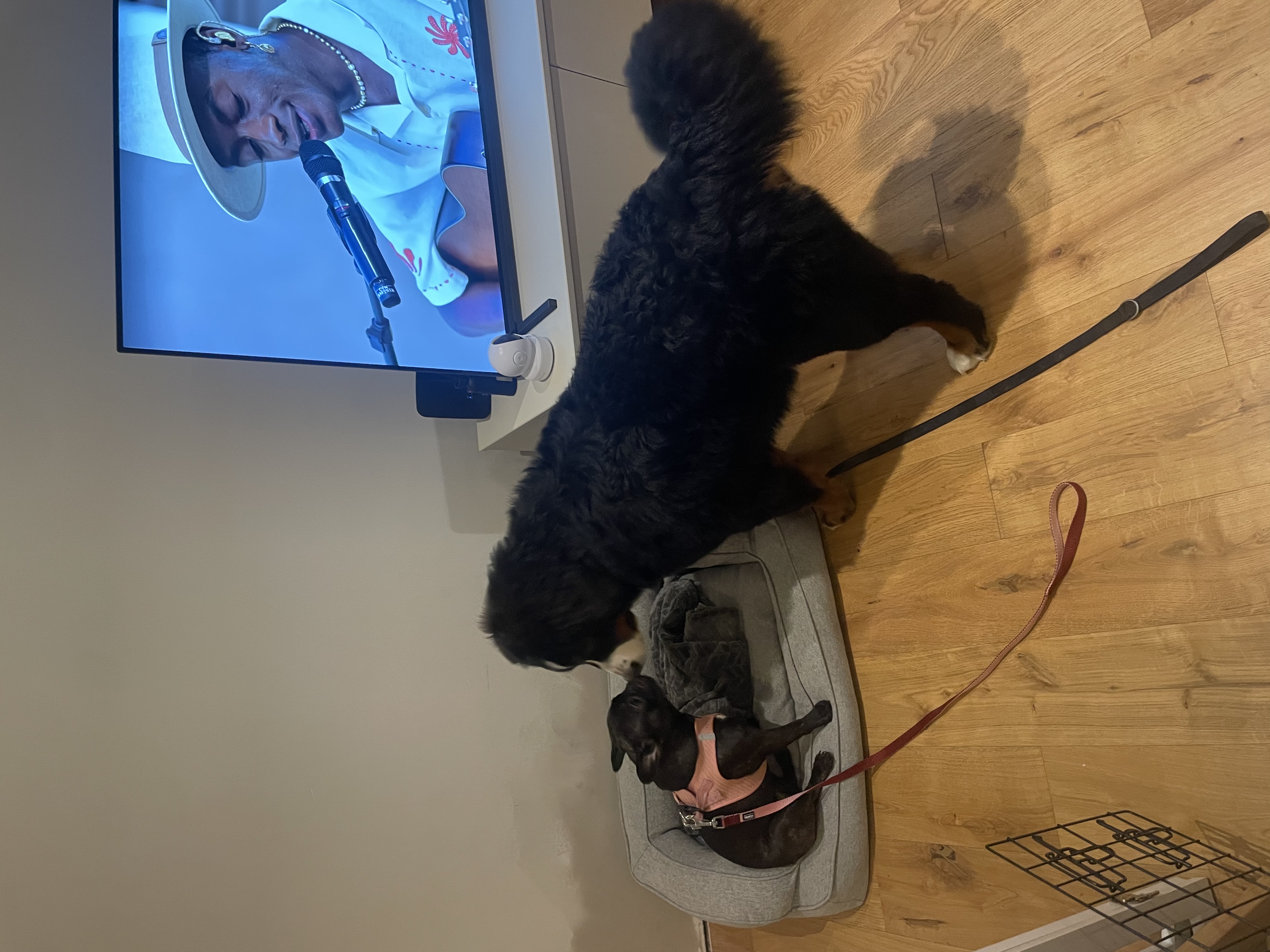 image-27