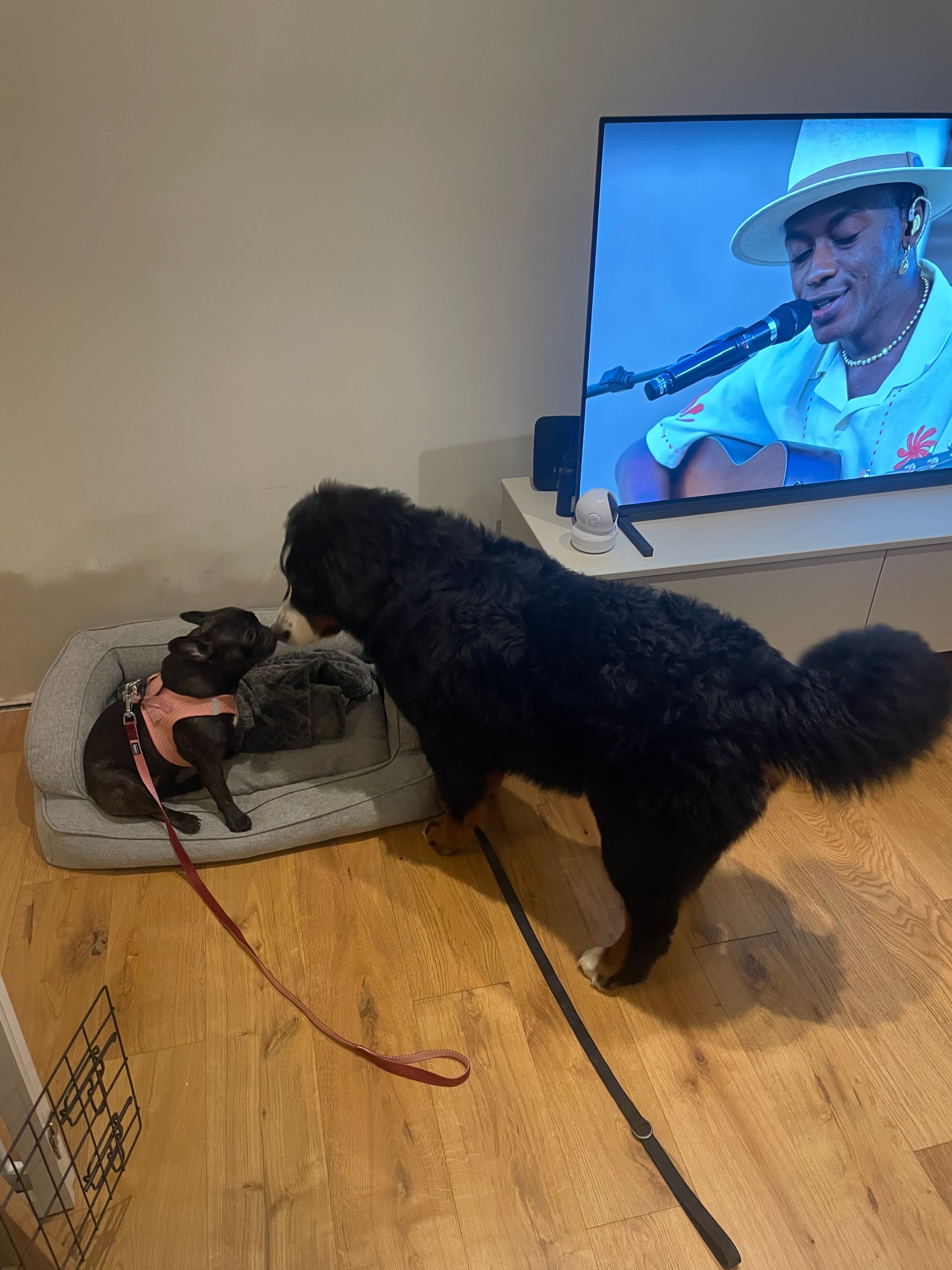 image-27