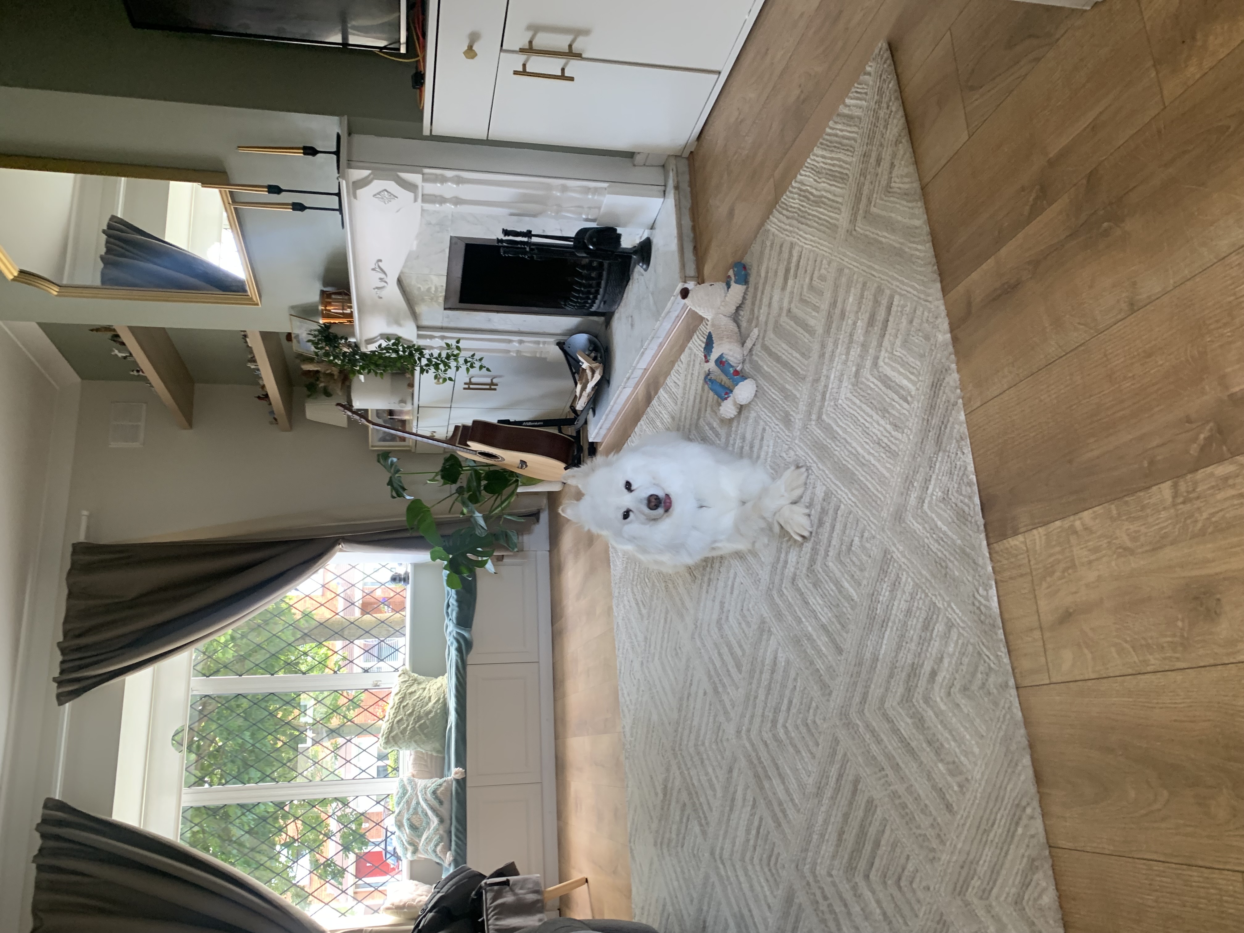 image-18