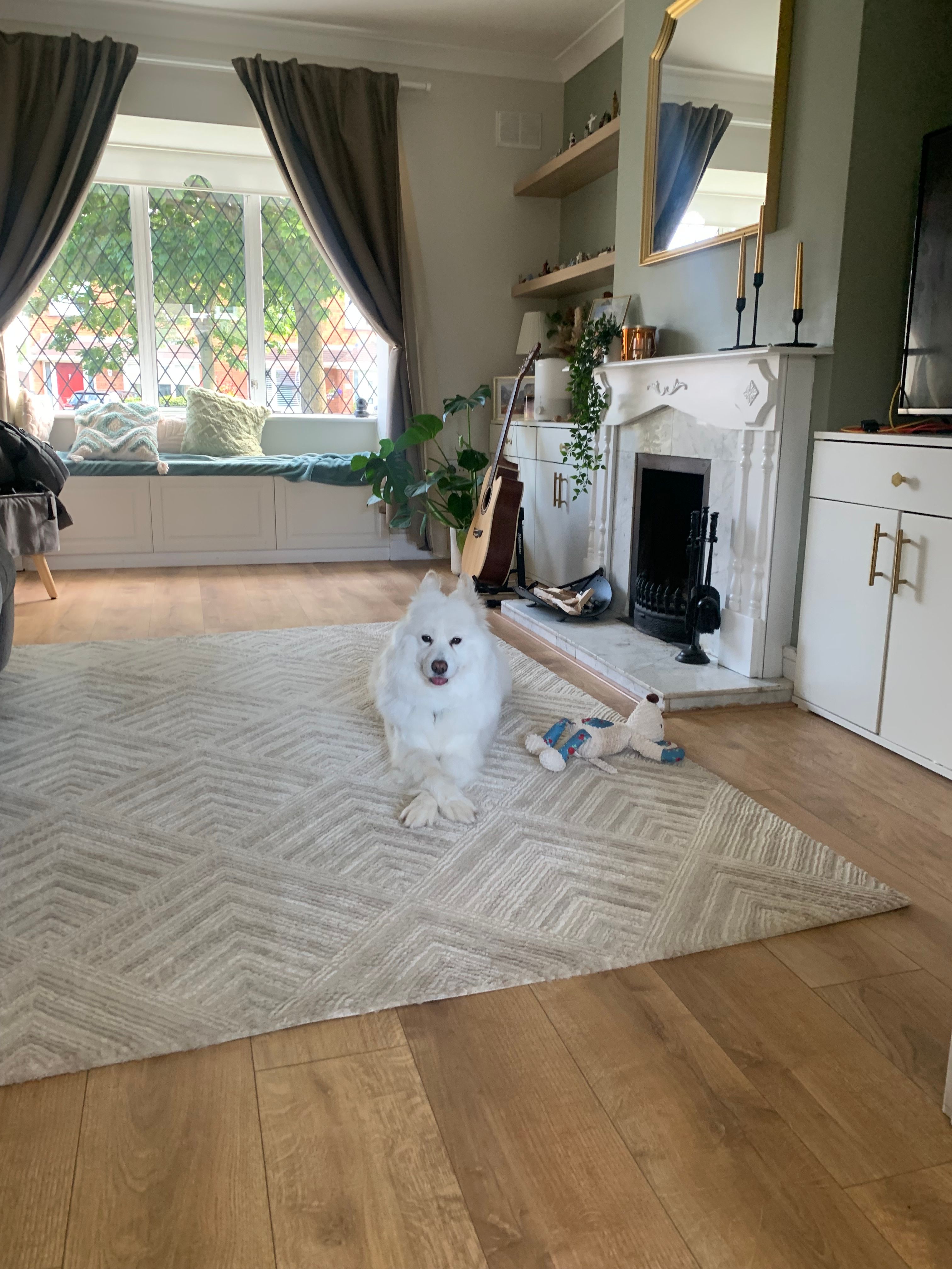 image-18