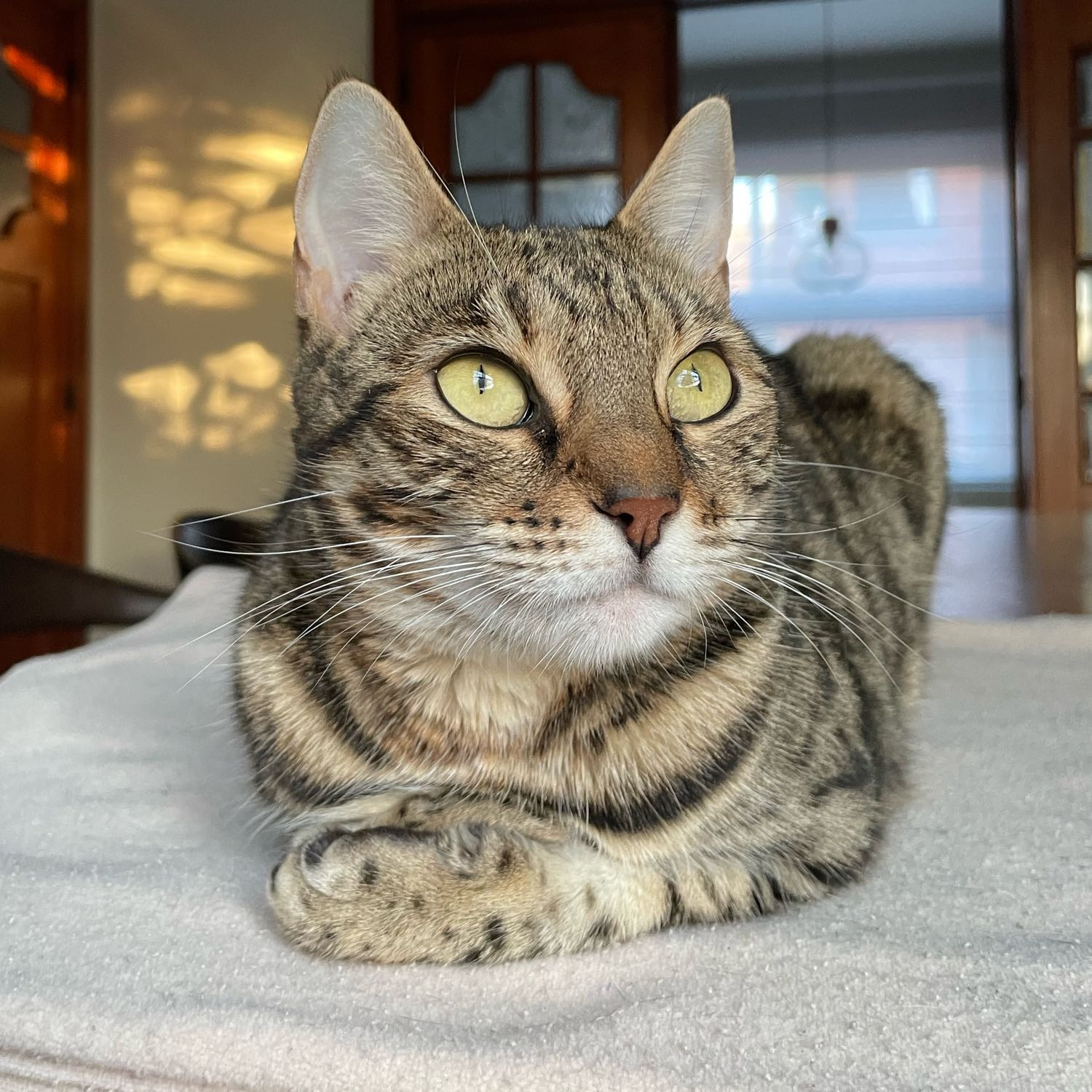 Nyah