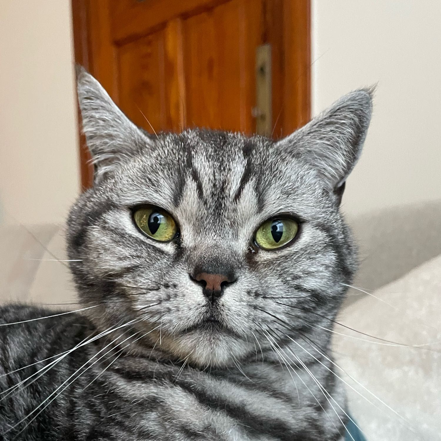 Milo