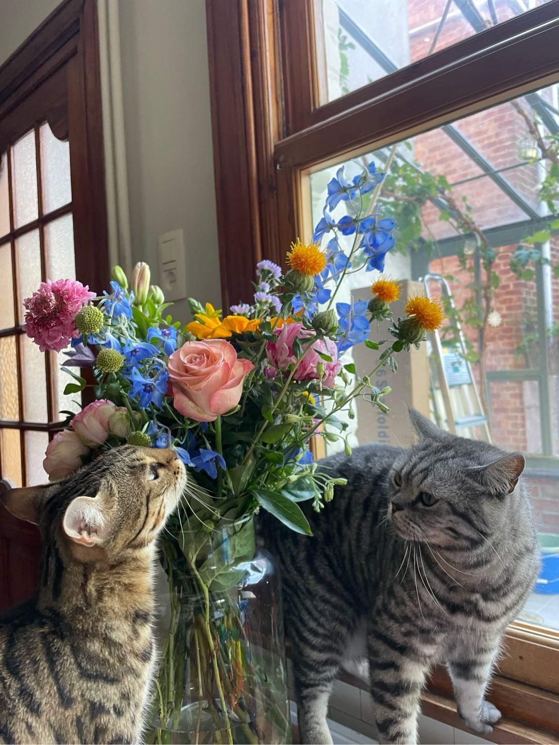 image-12