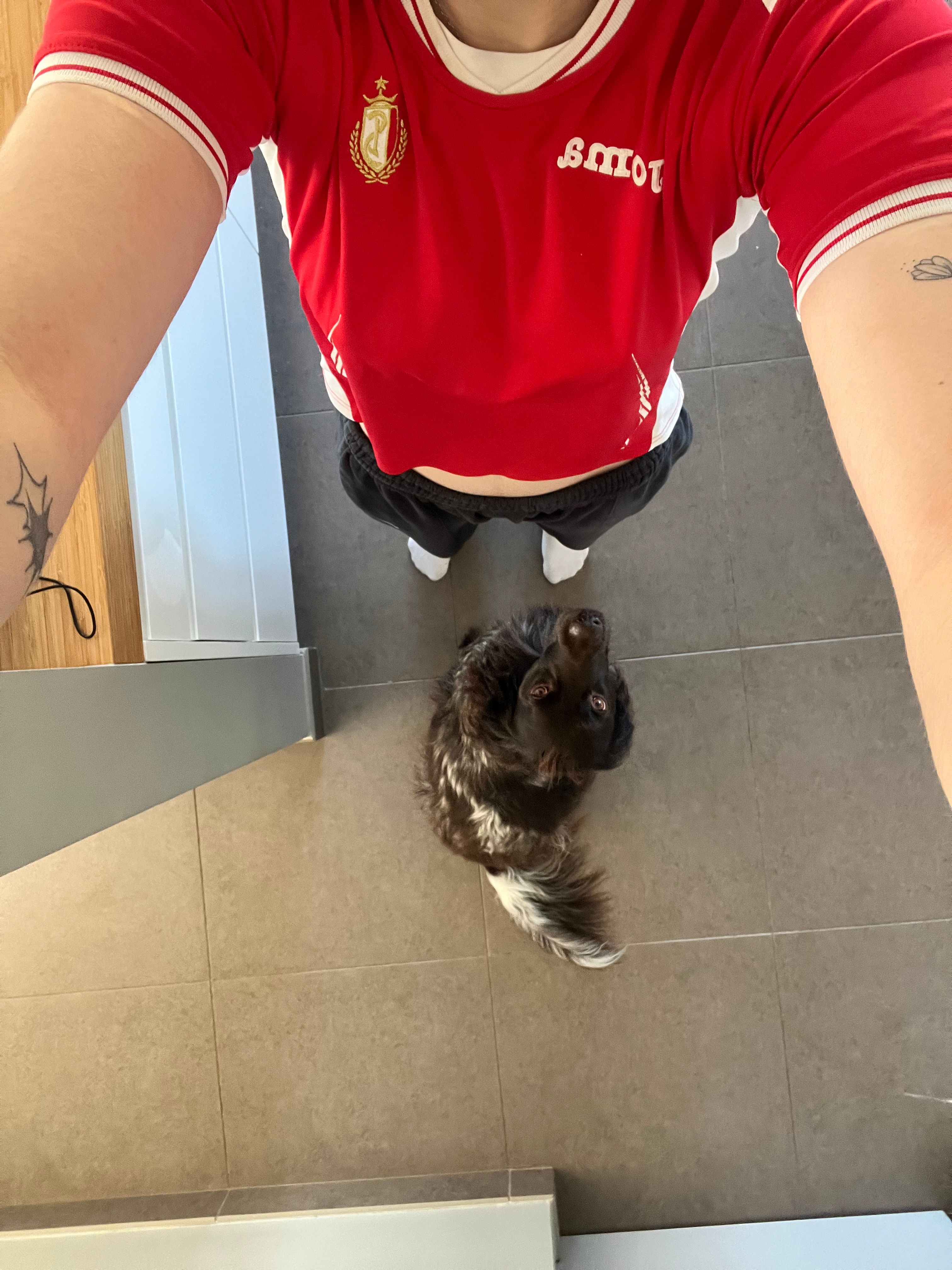 image-6