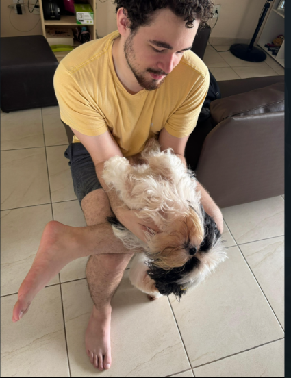 image-8