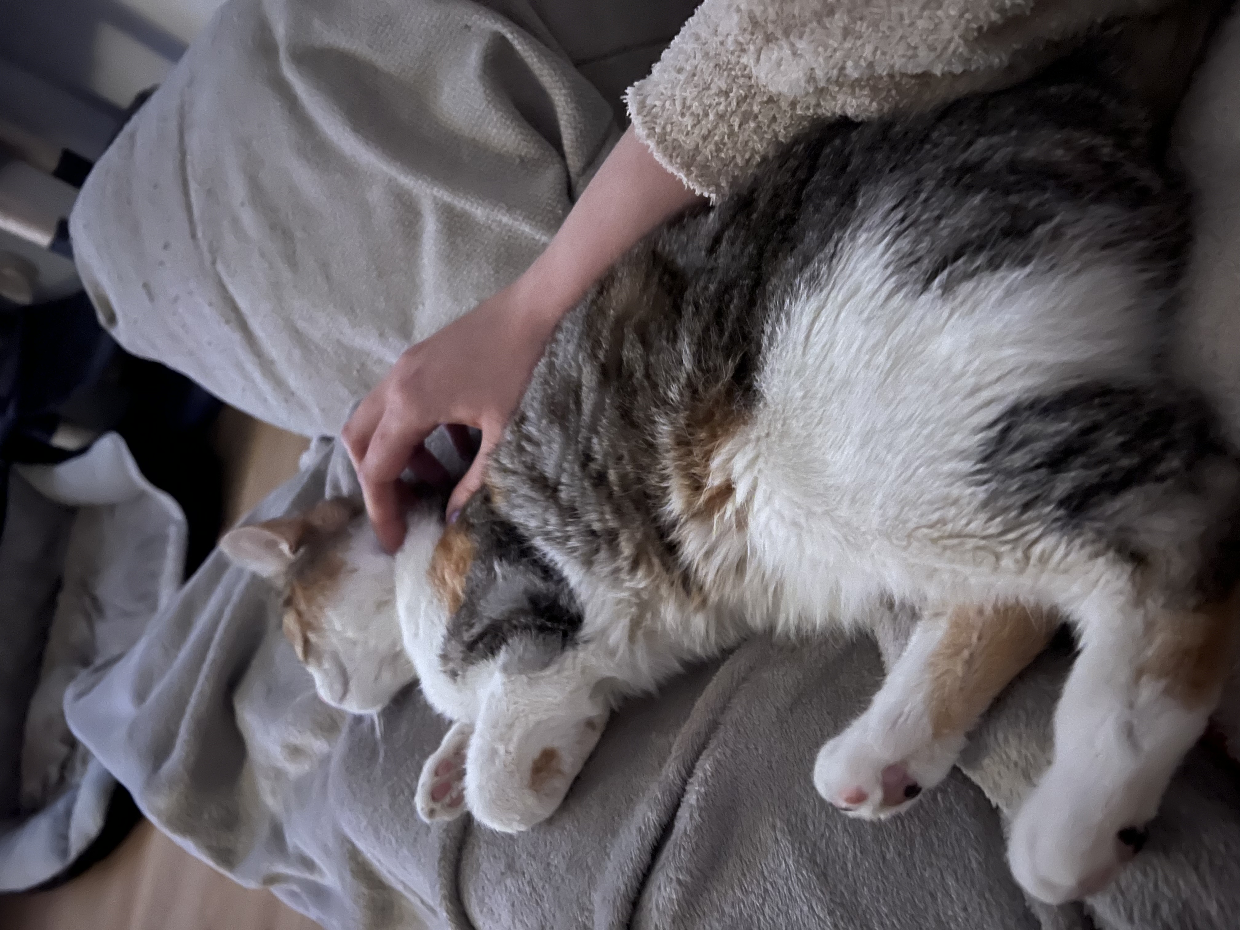 image-9