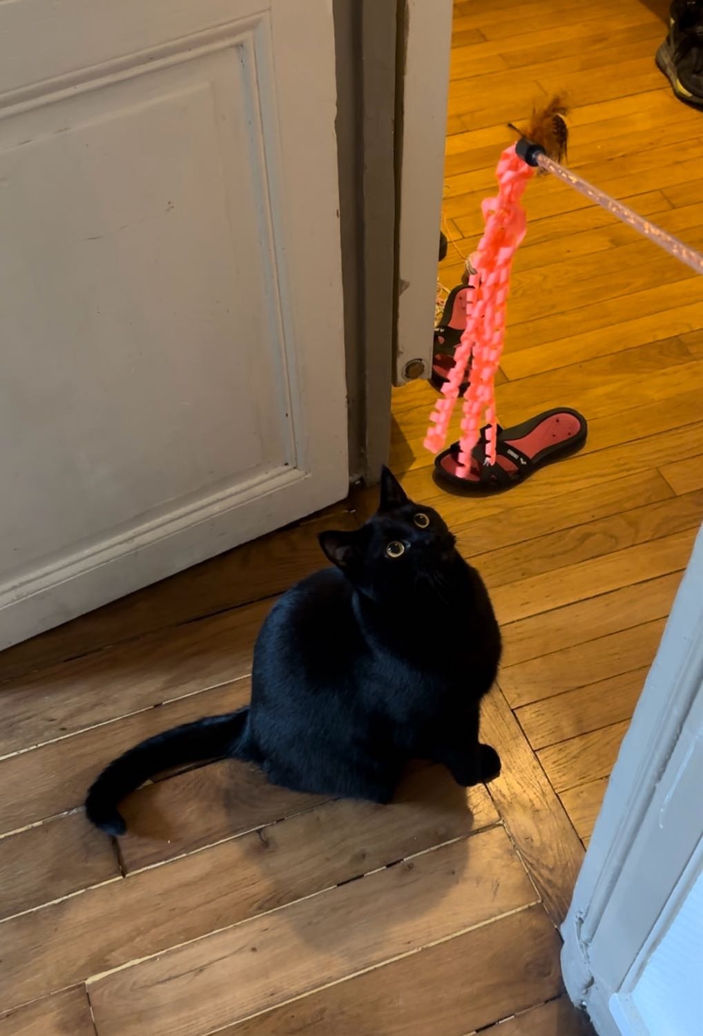 image-12