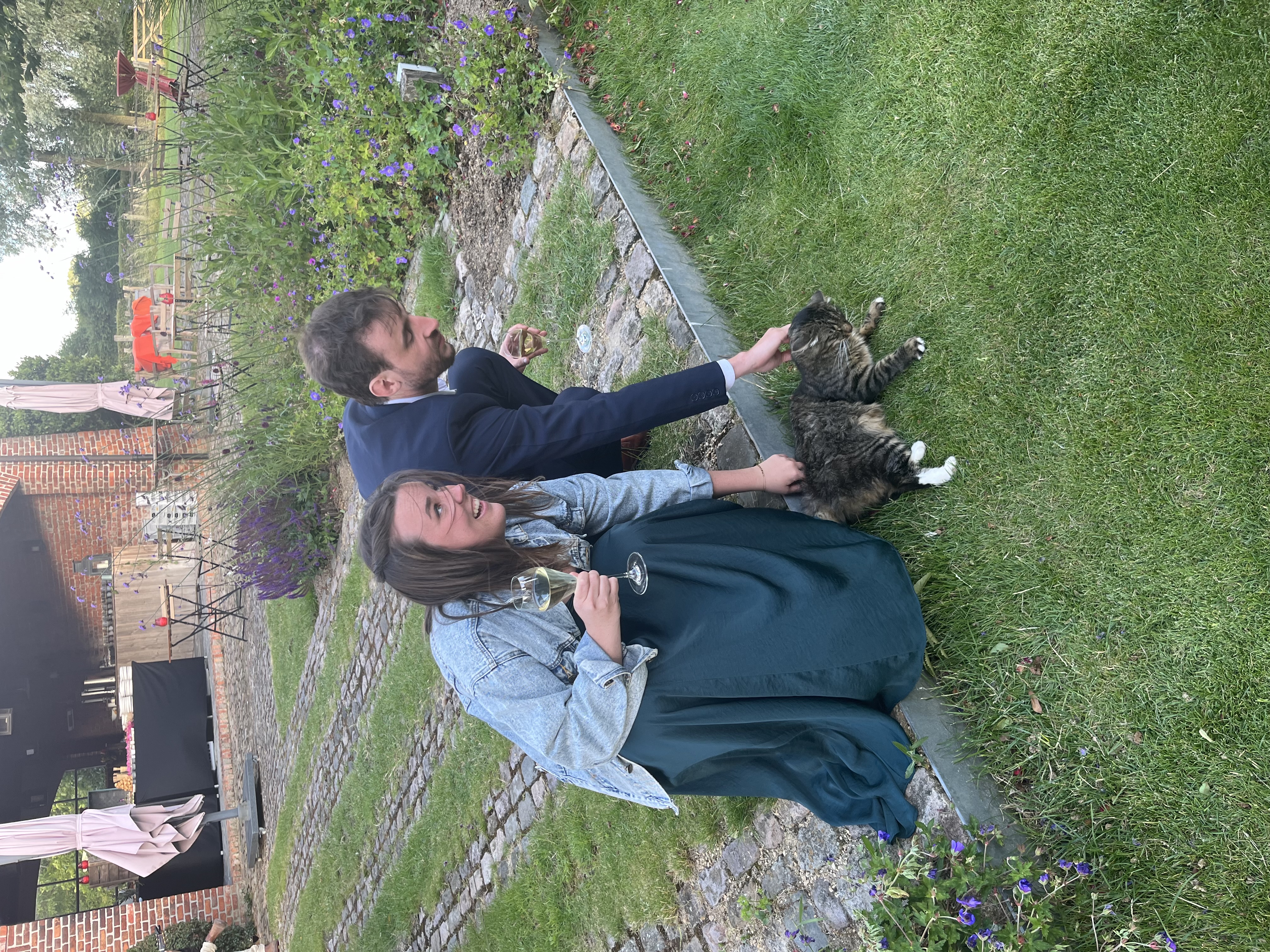 image-15