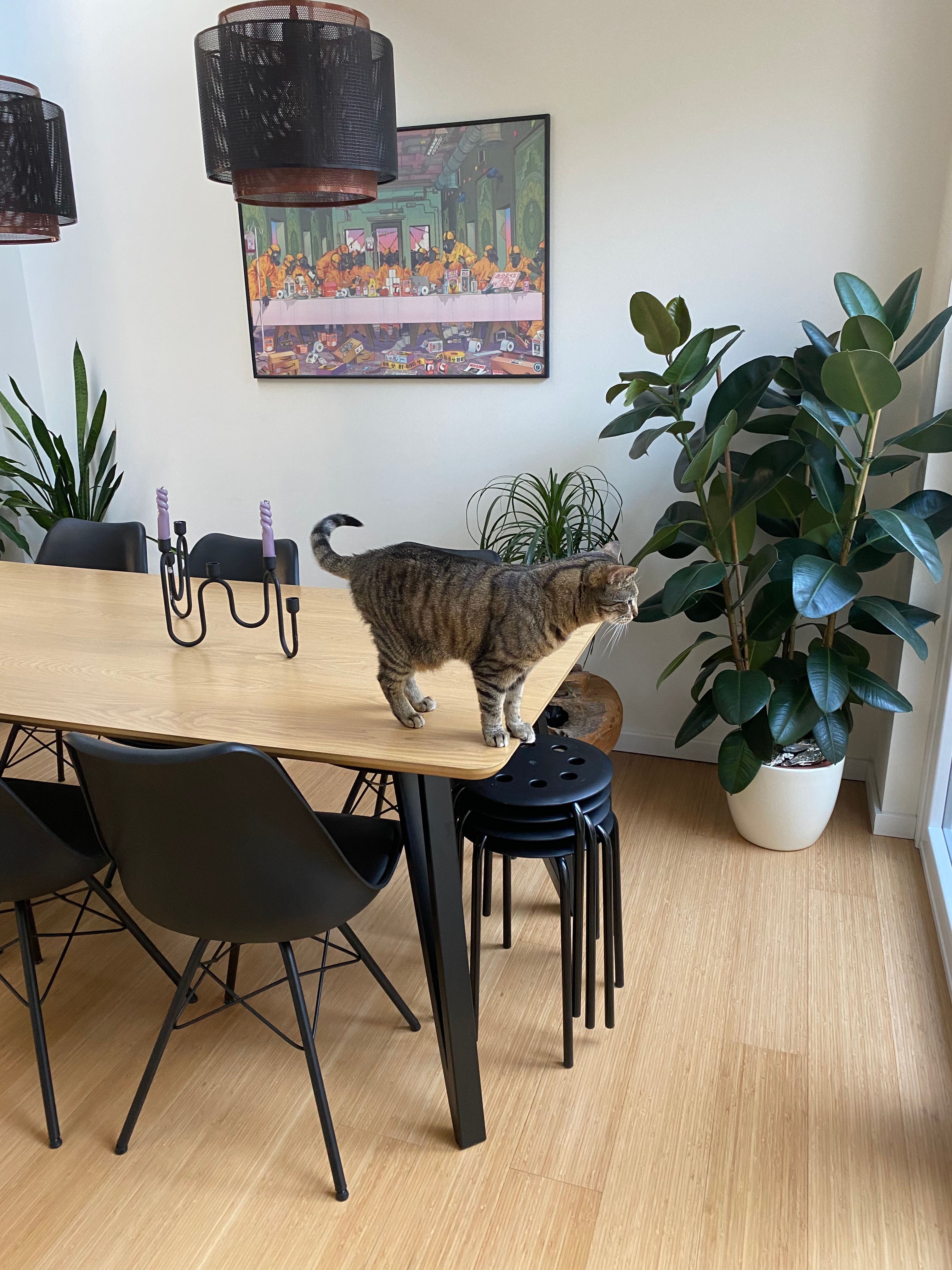 image-19