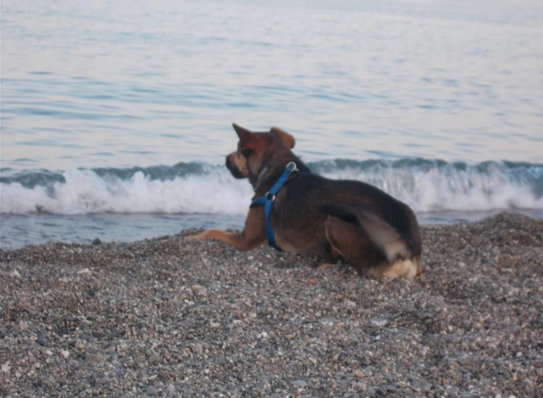 image-10