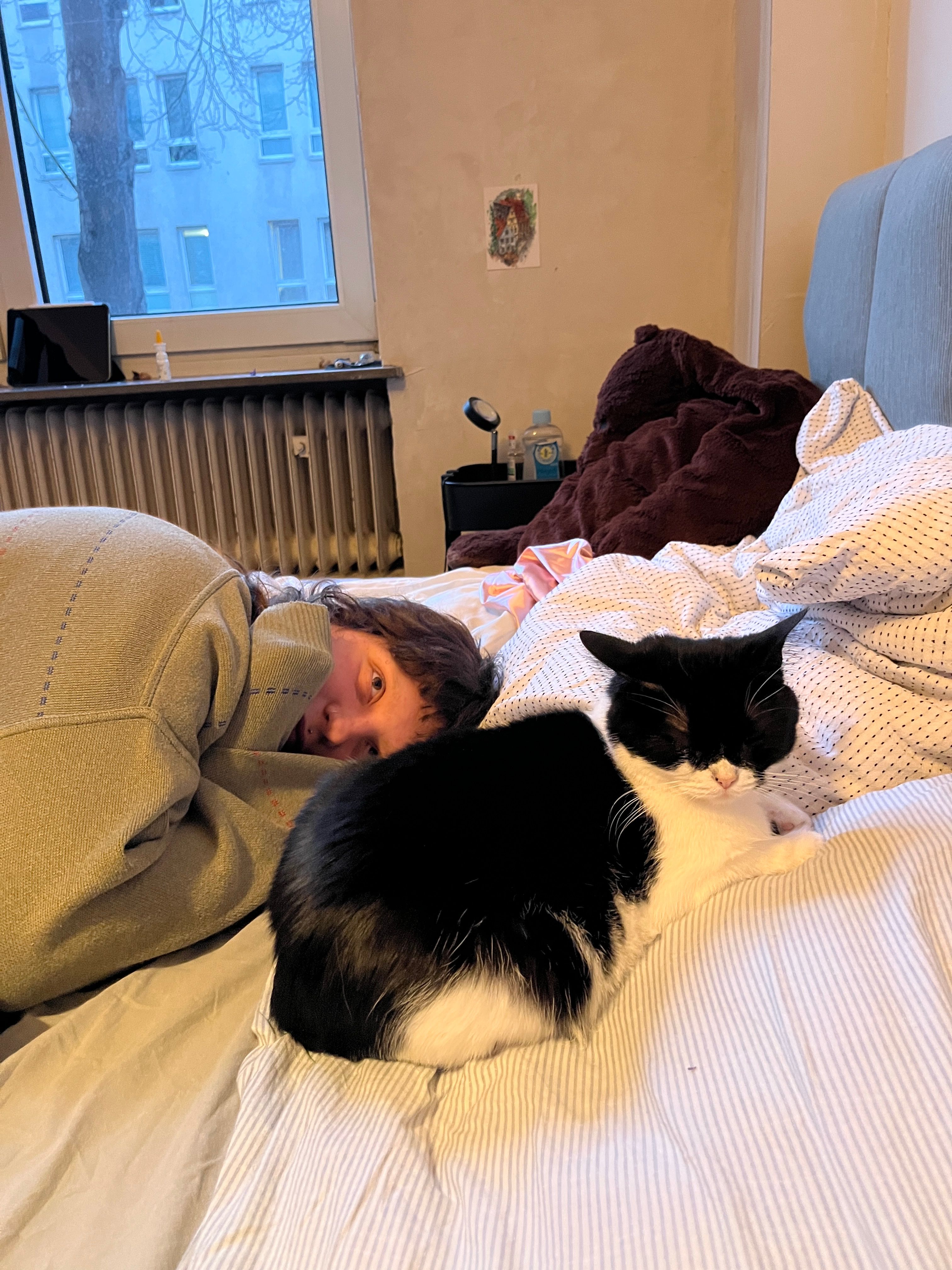 image-5