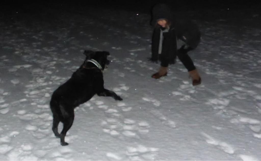 image-9