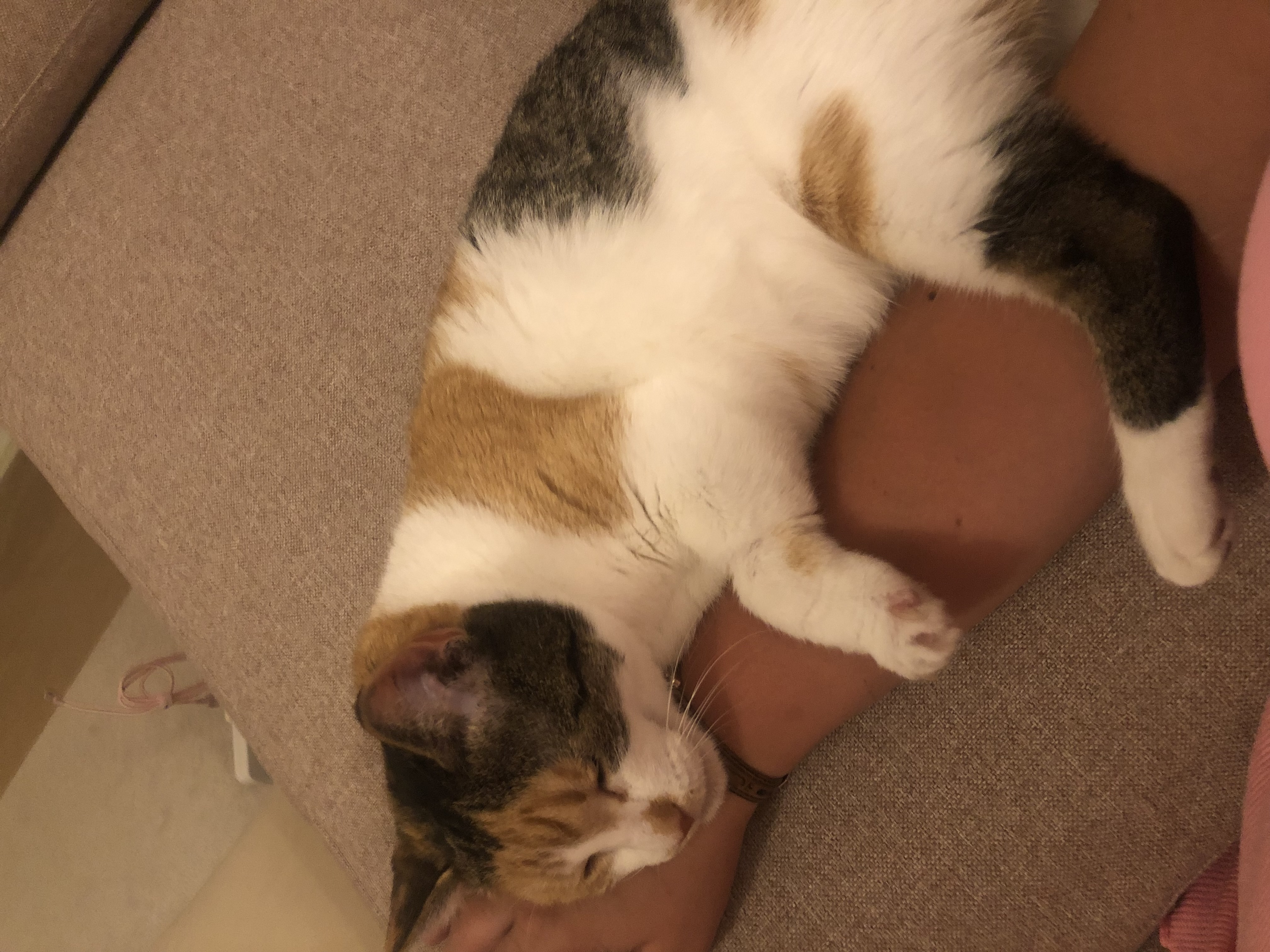 image-6