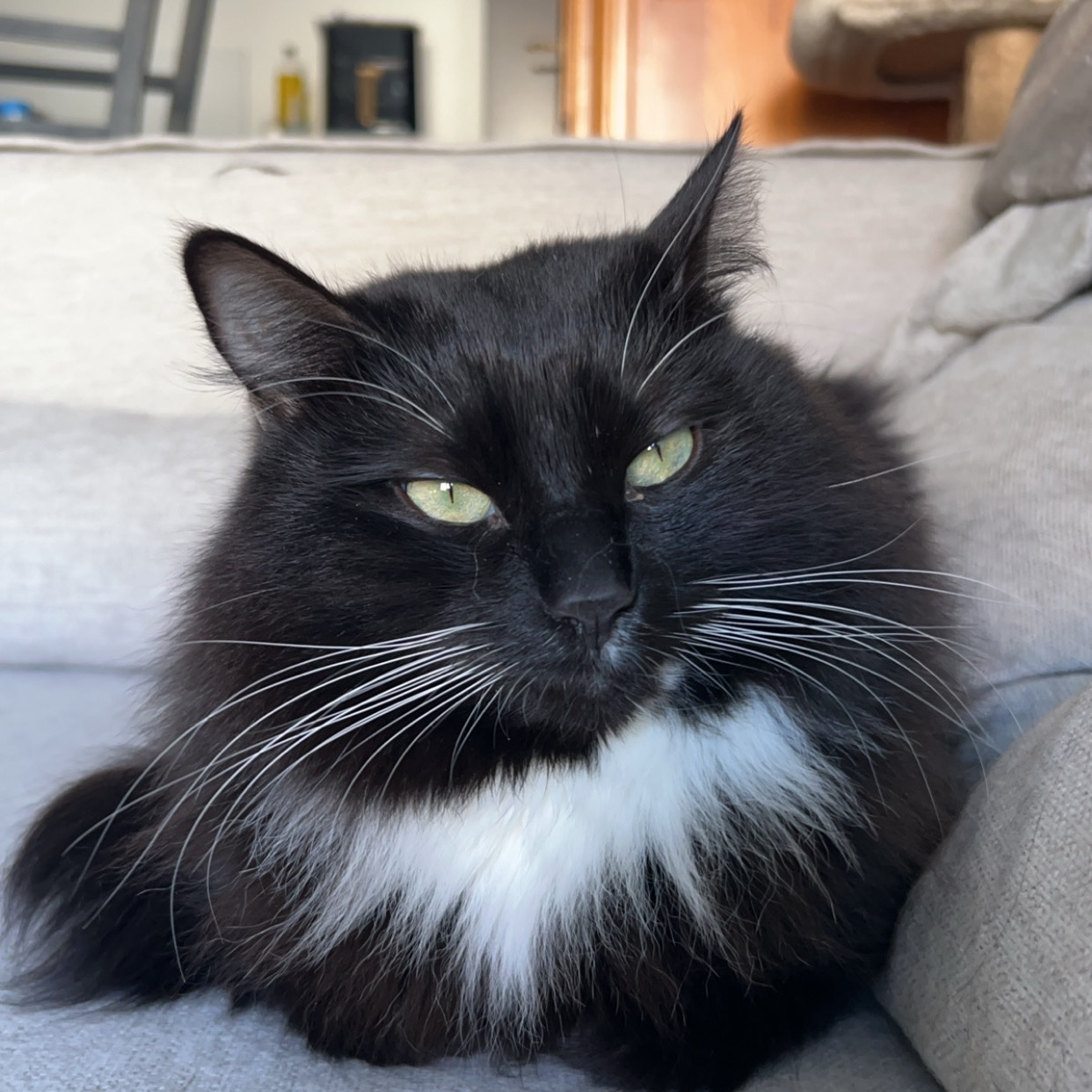Onyx
