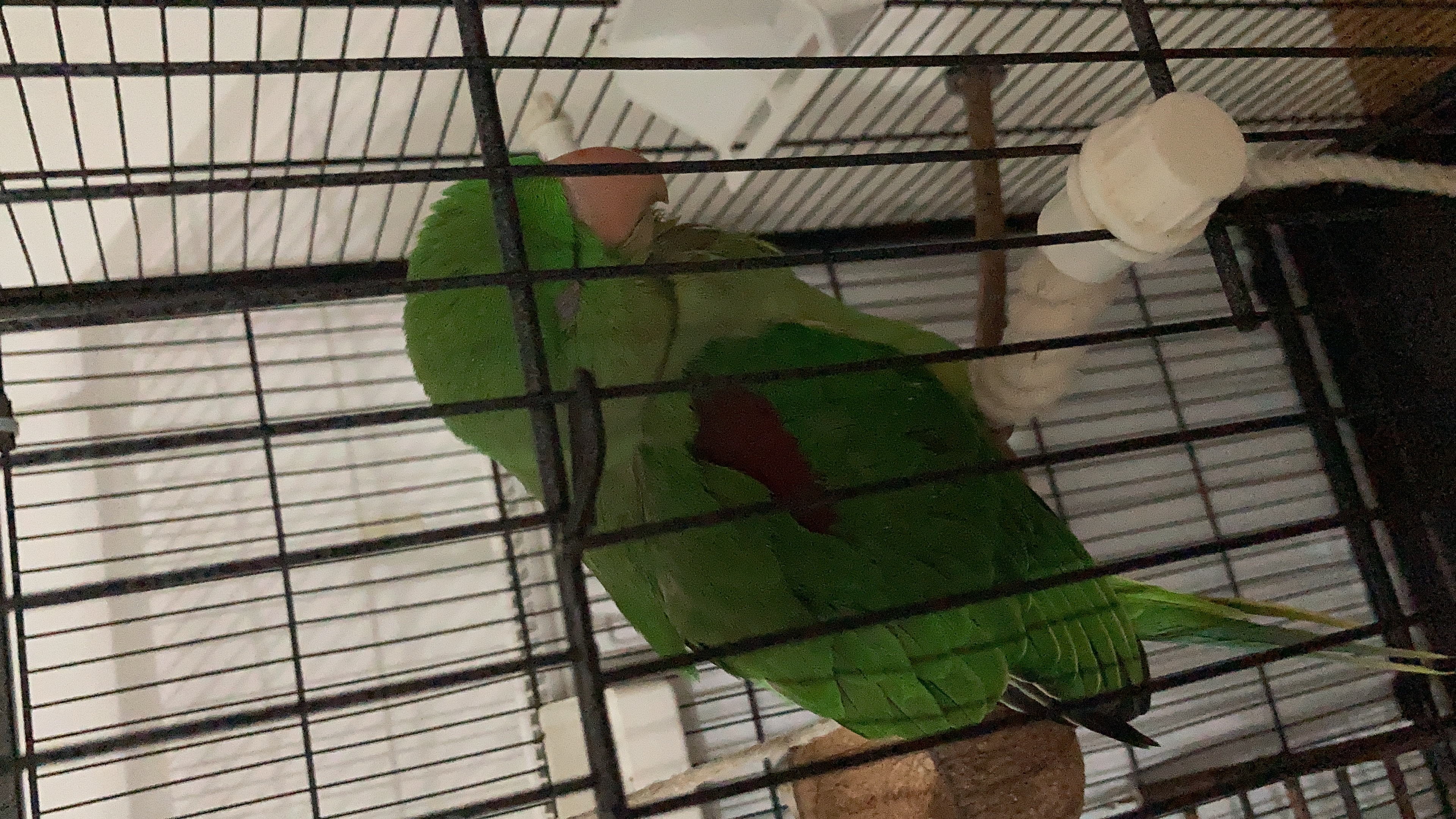 image-9