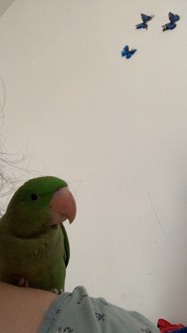 image-6