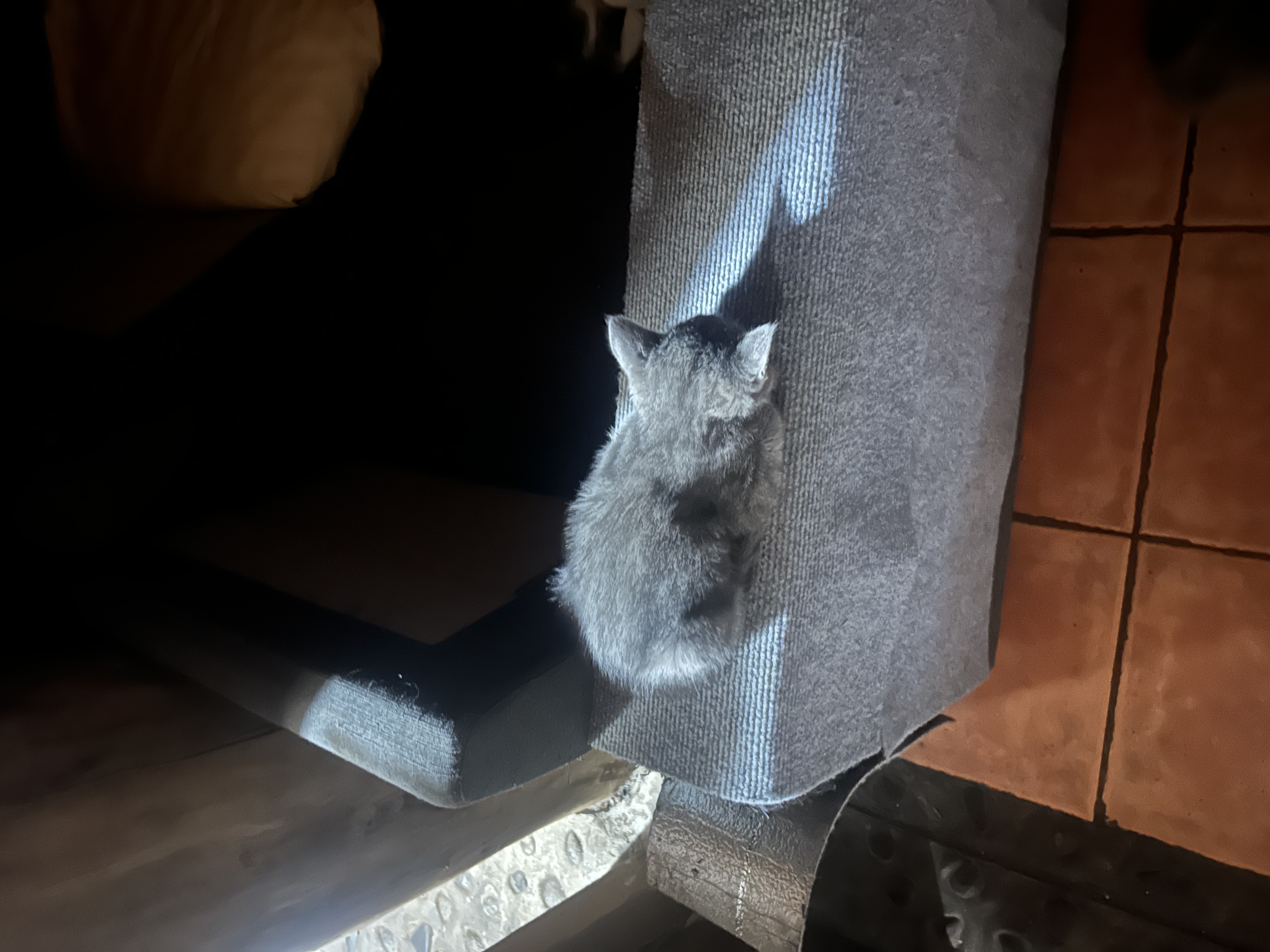 image-6