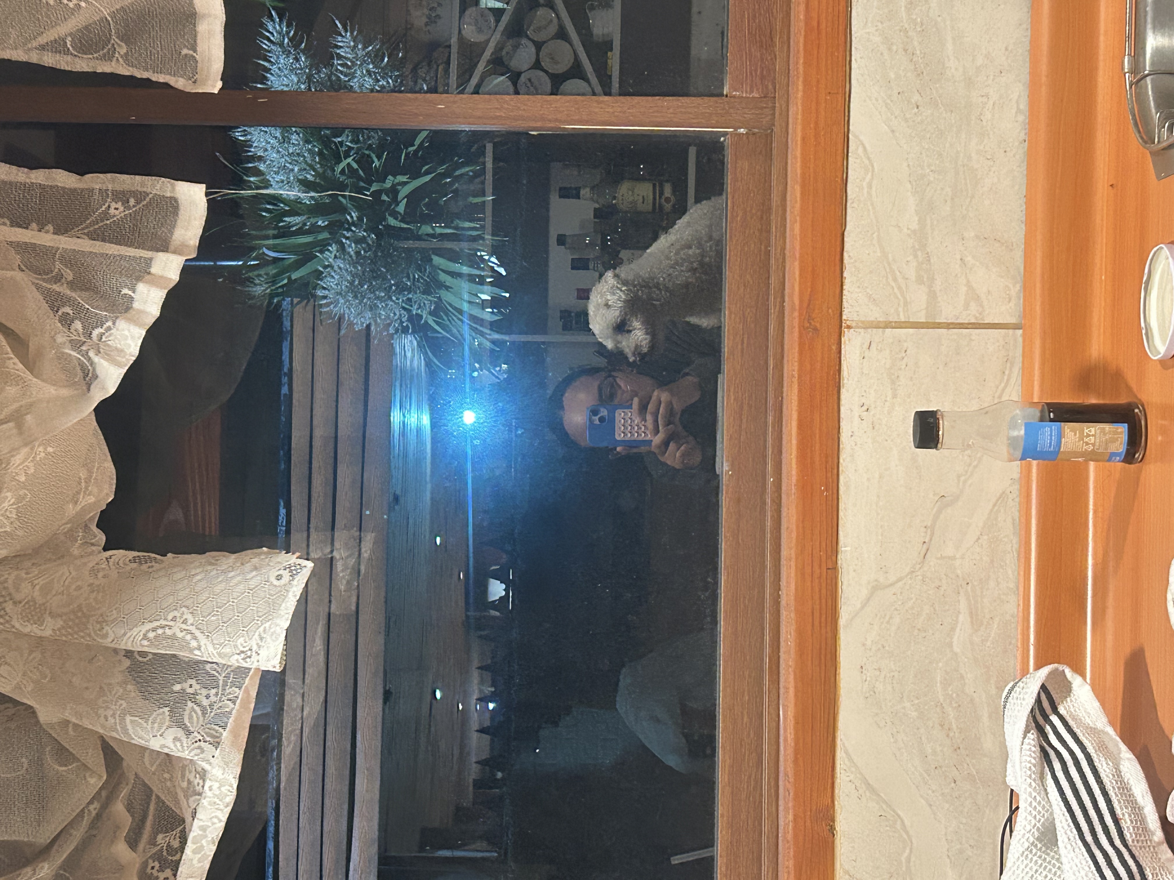 image-15