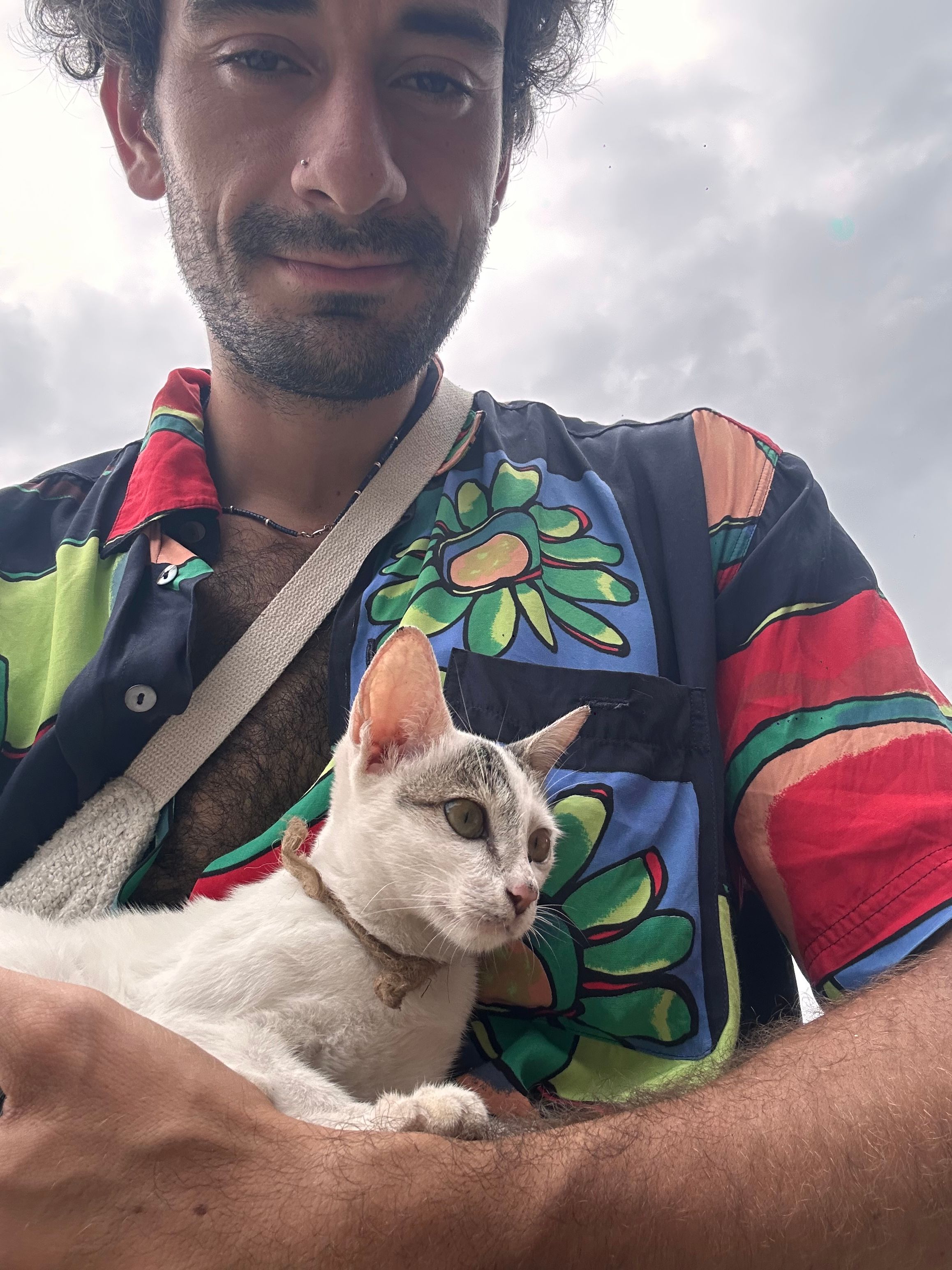 image-8