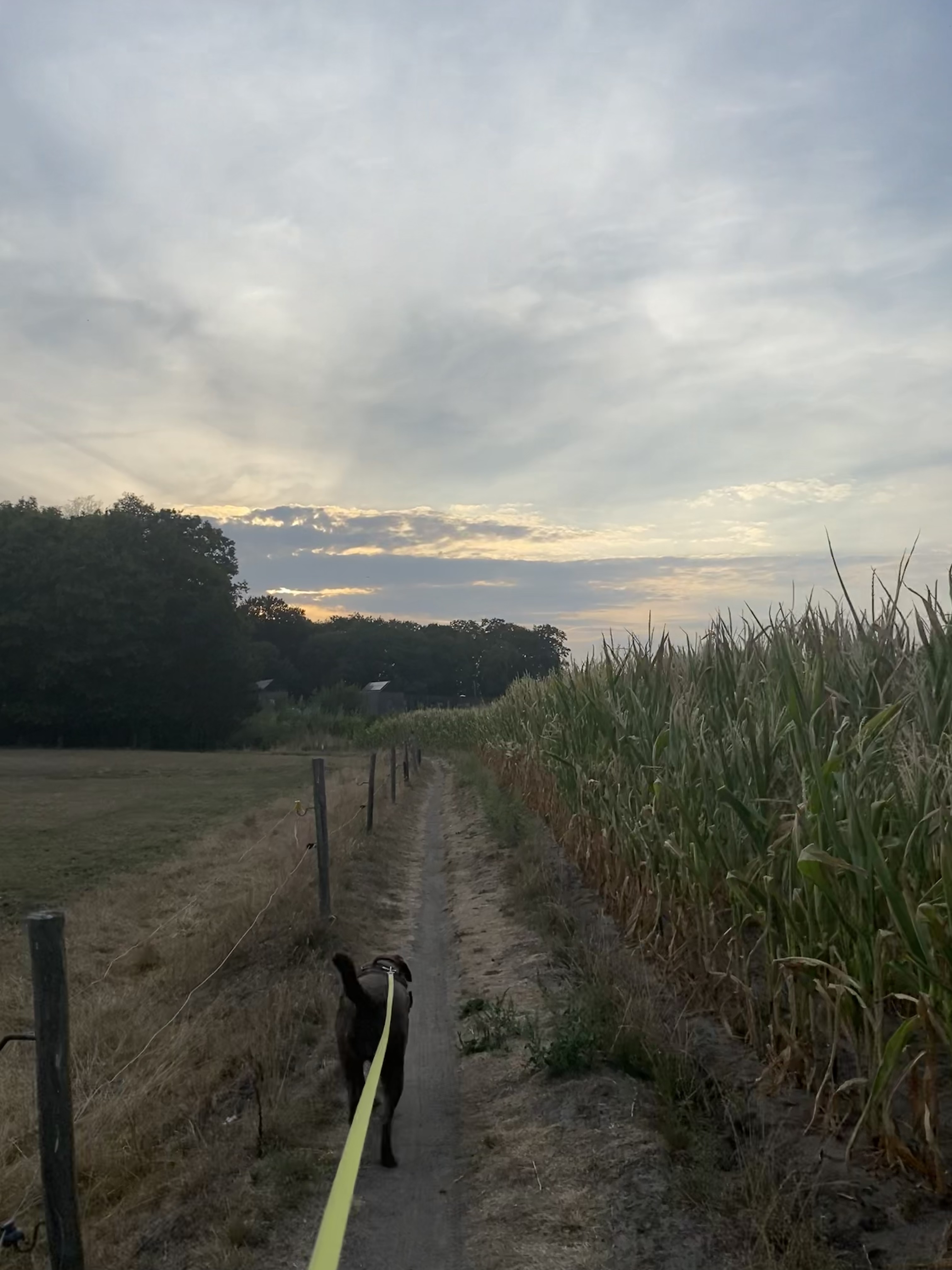 image-14
