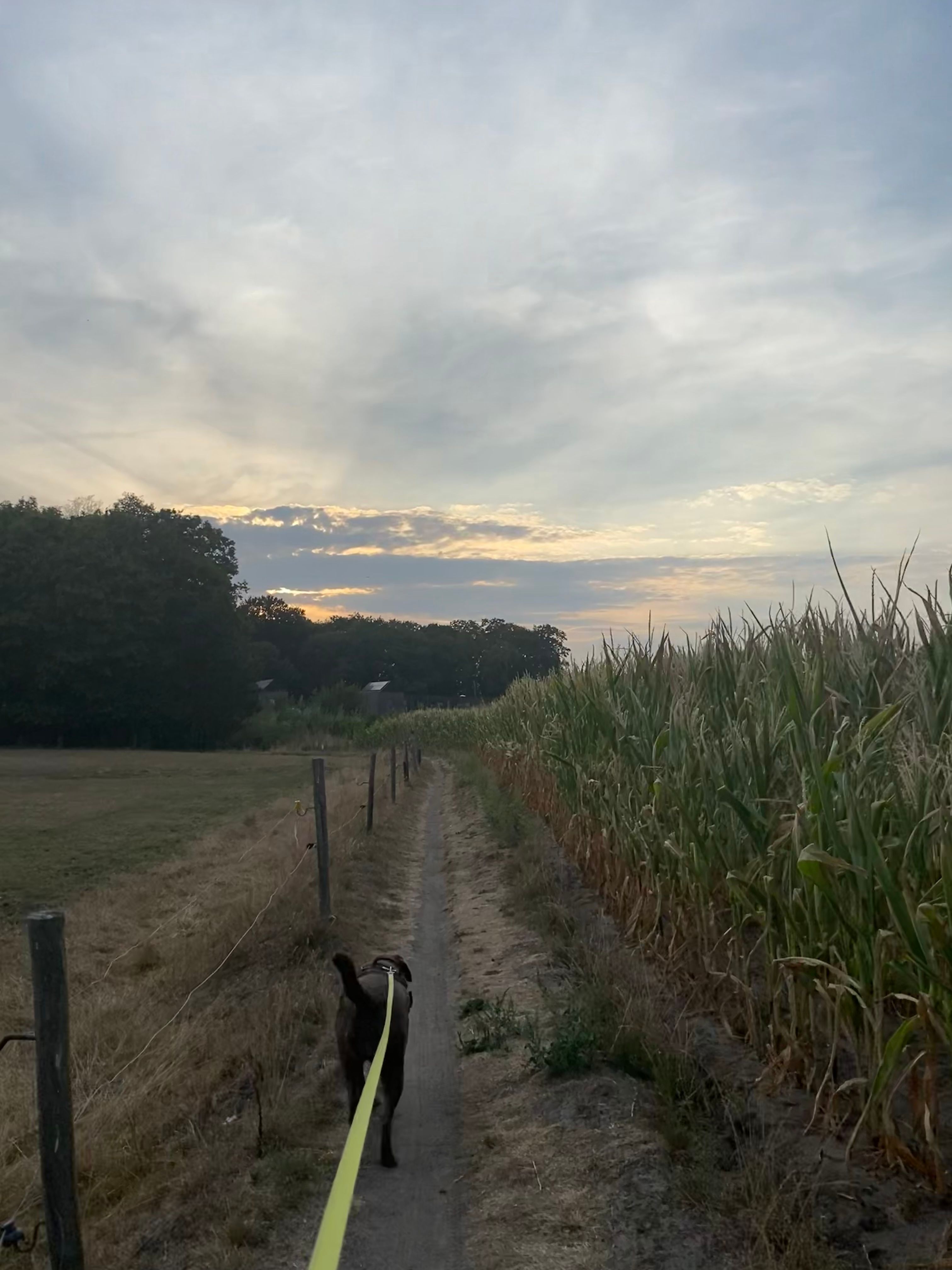 image-14