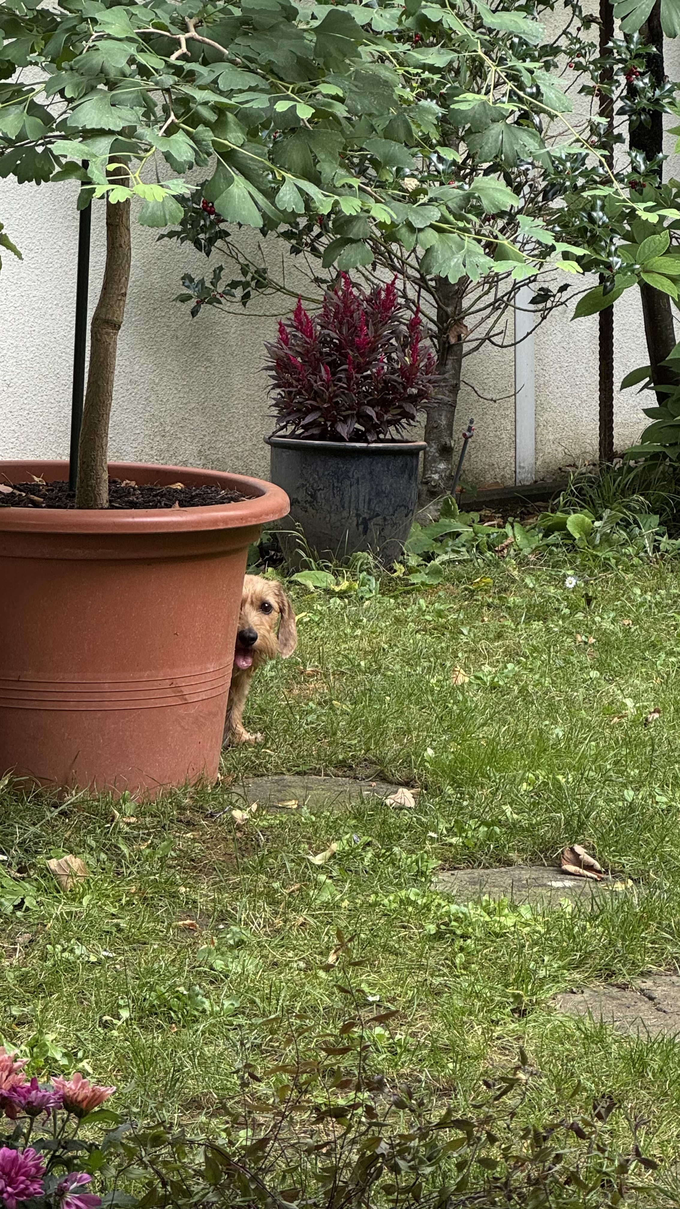 image-10