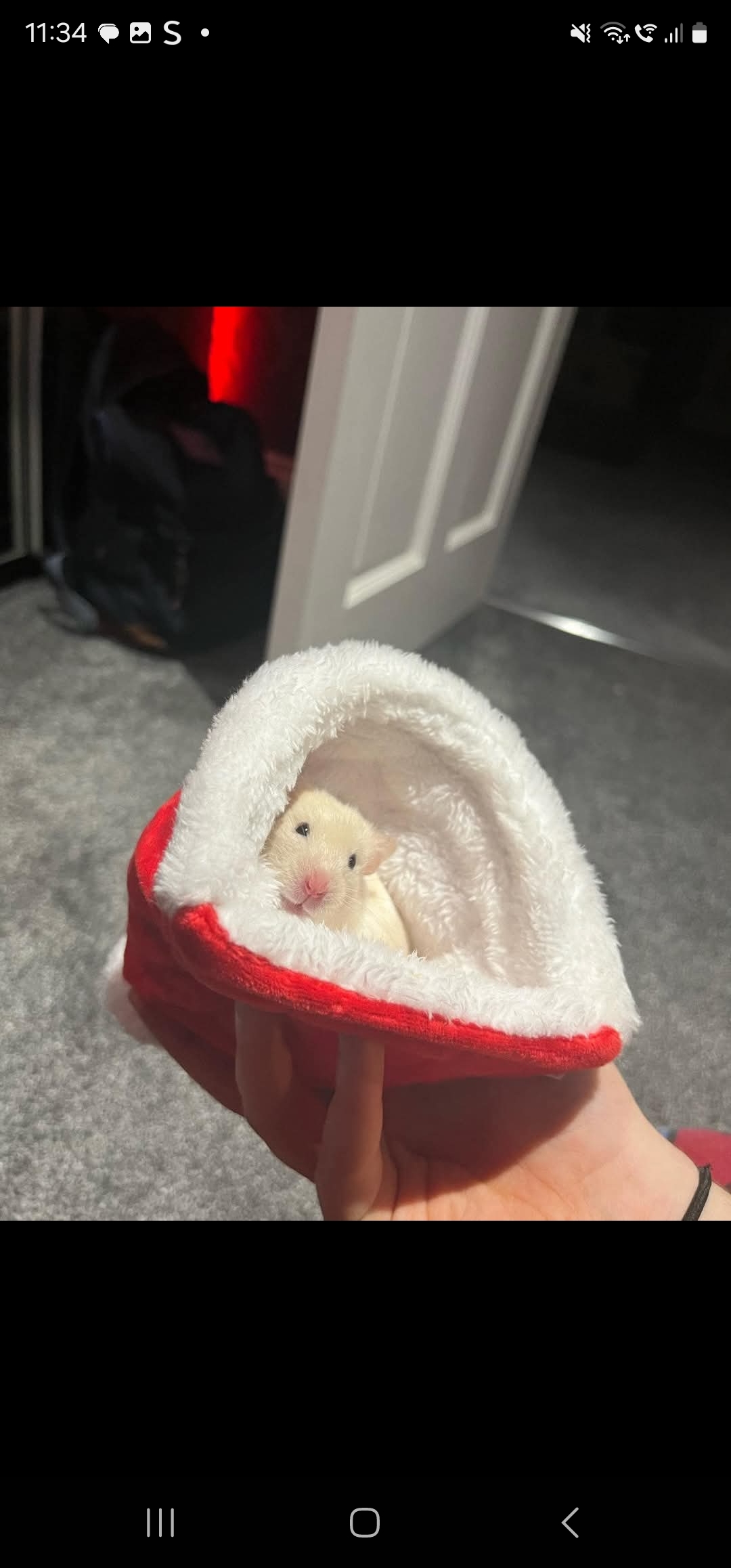 image-12