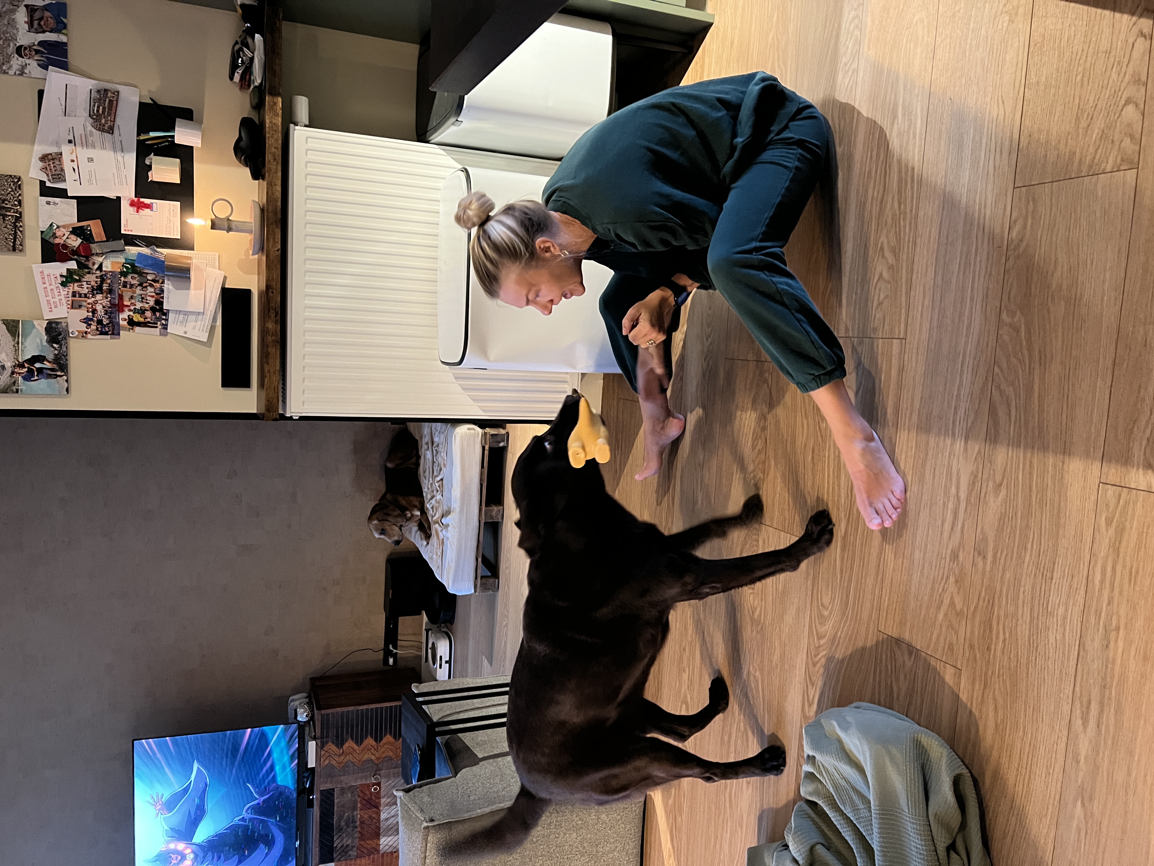 image-17
