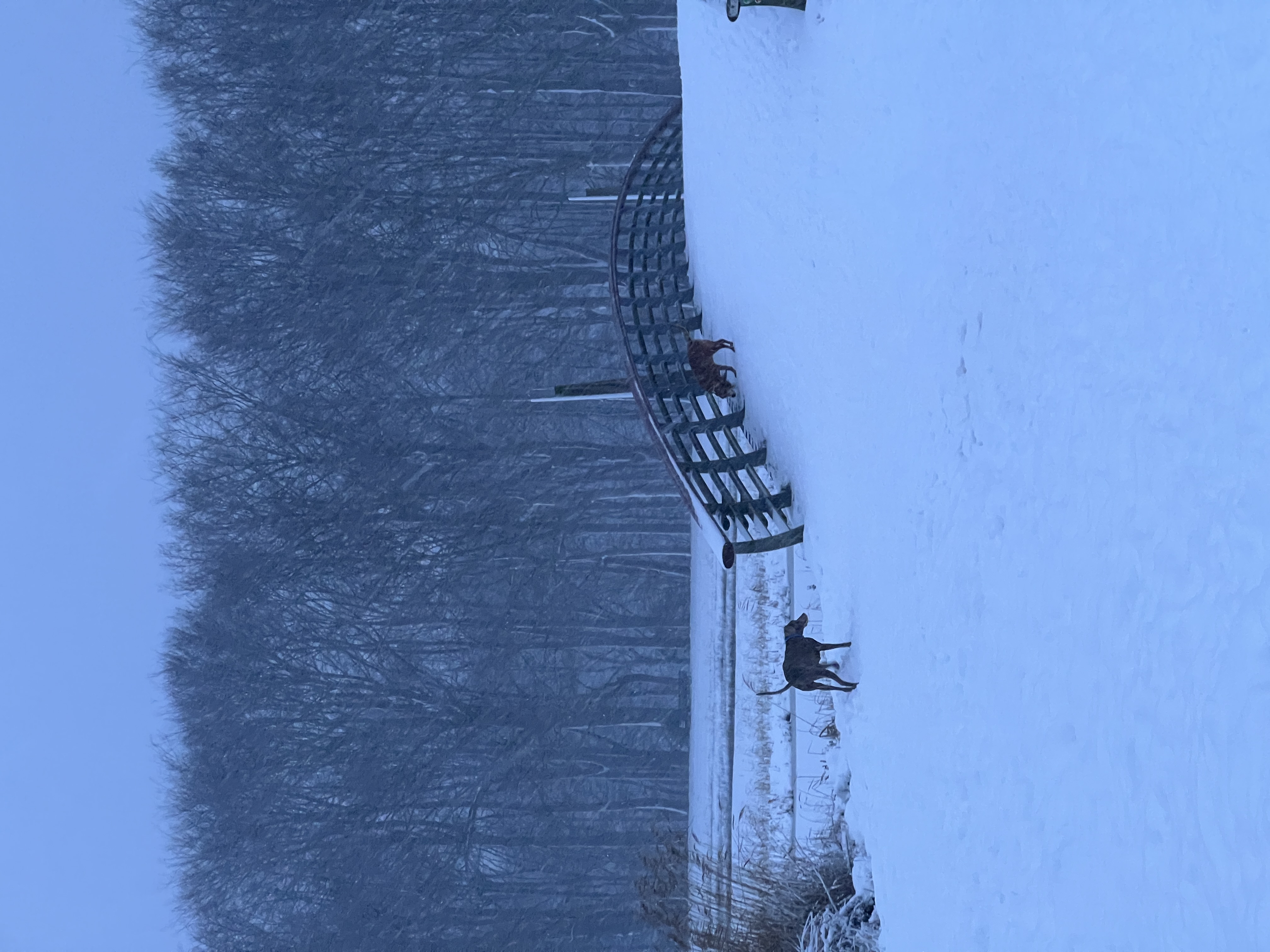 image-13