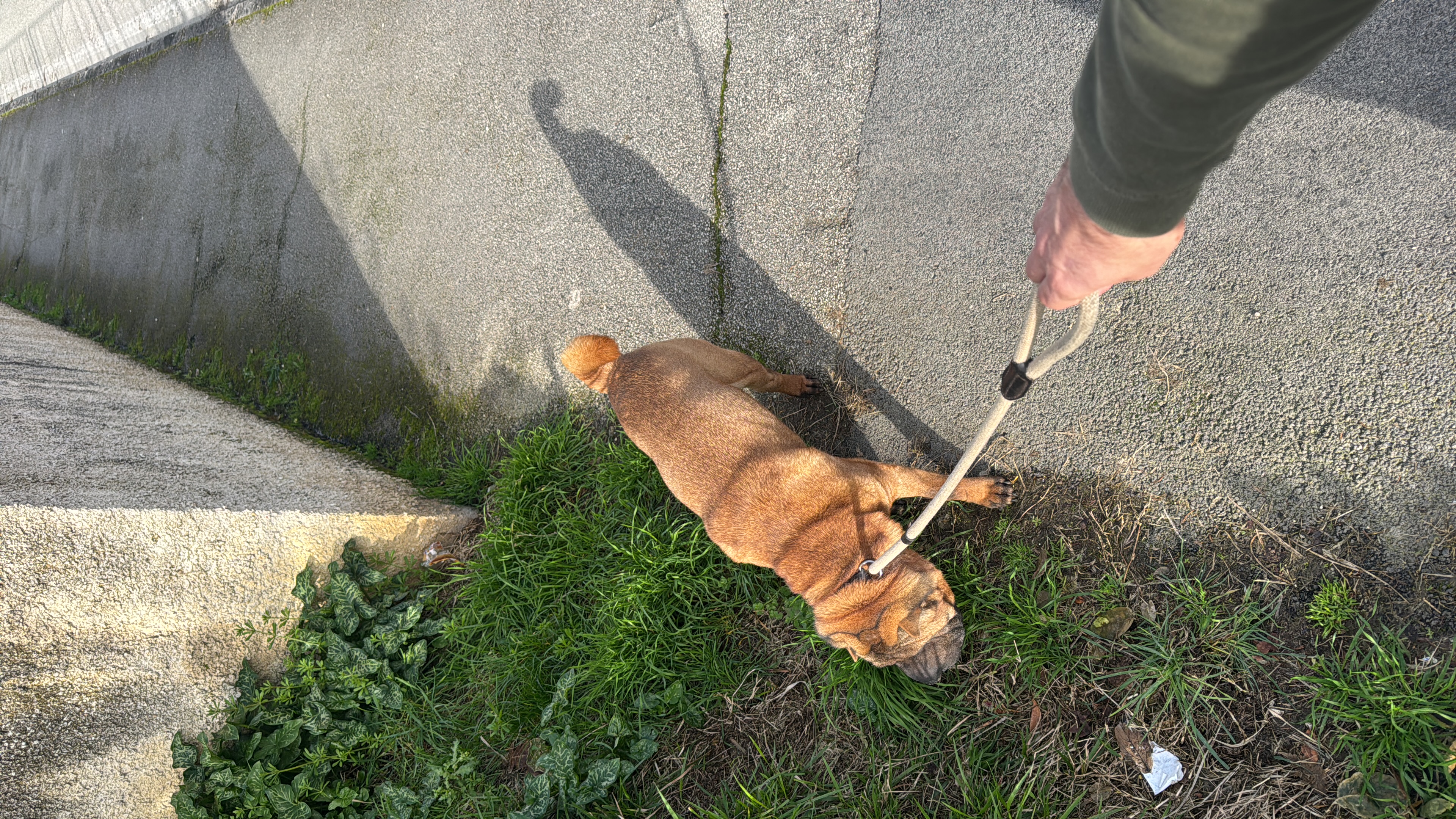 image-5