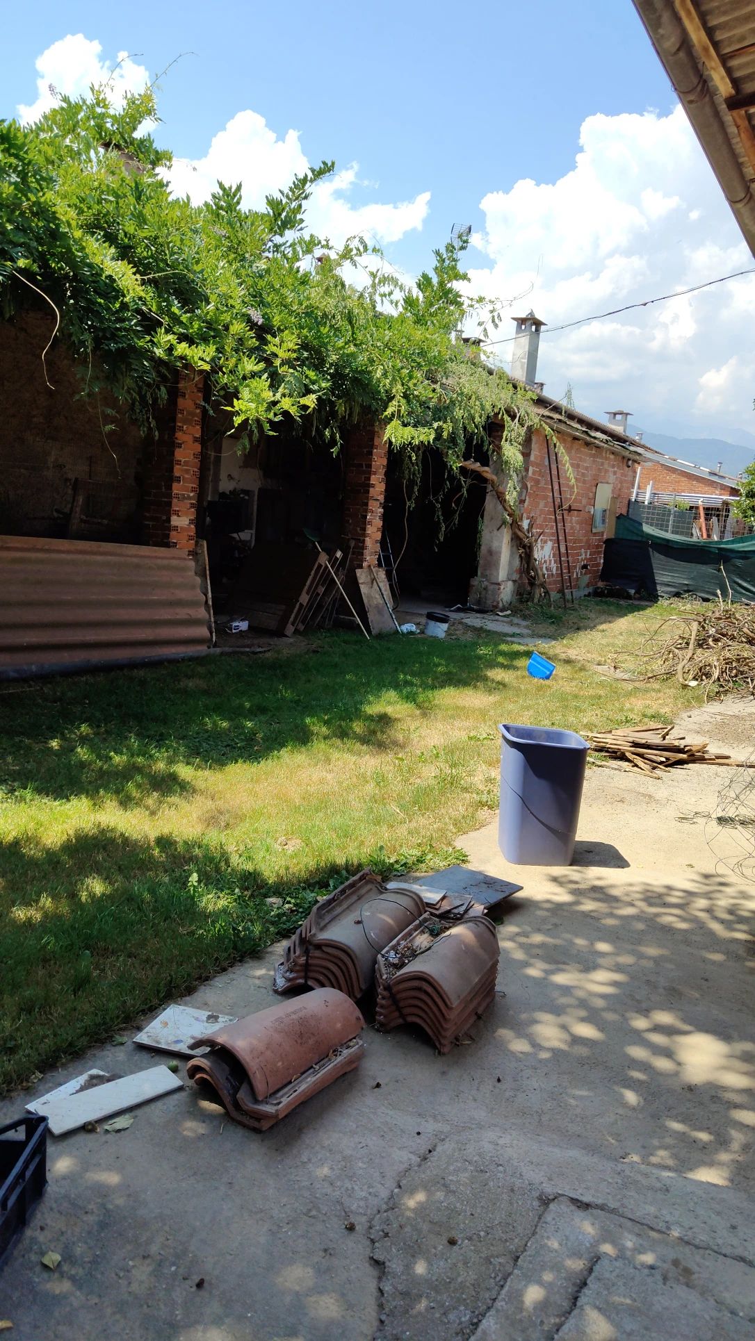 image-19