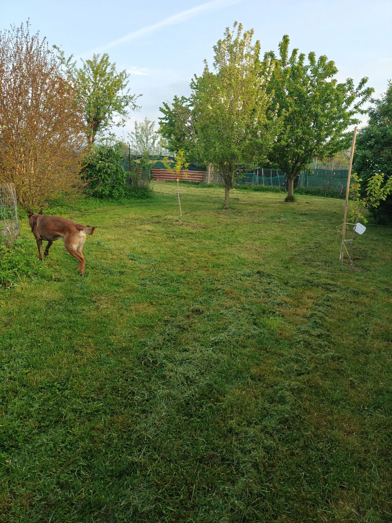 image-16