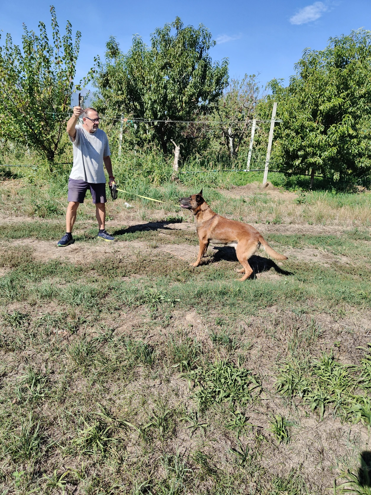 image-15