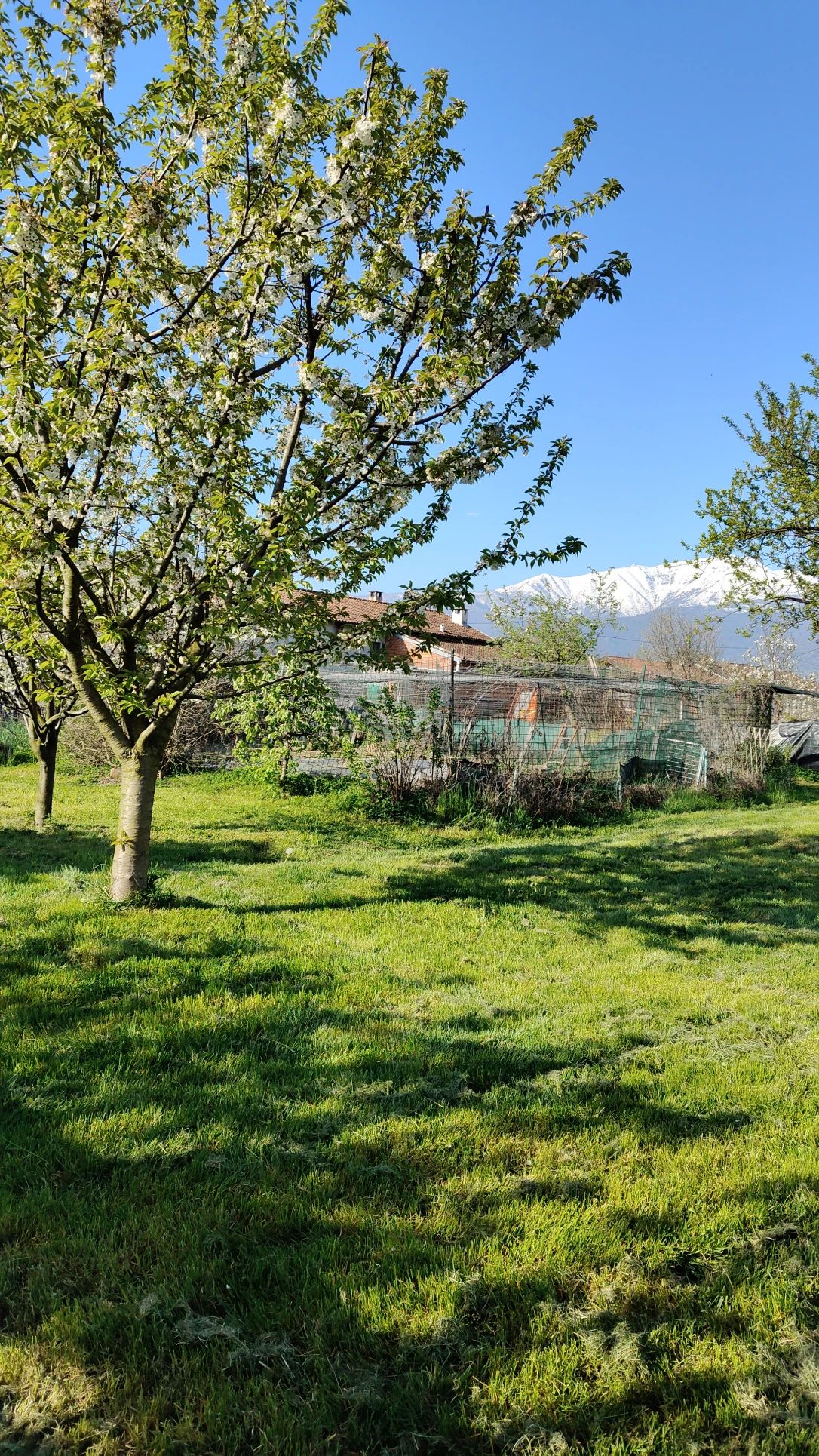 image-20