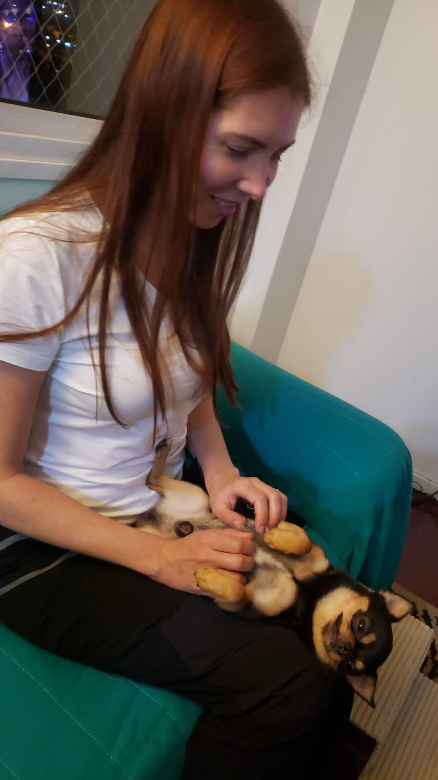 image-12