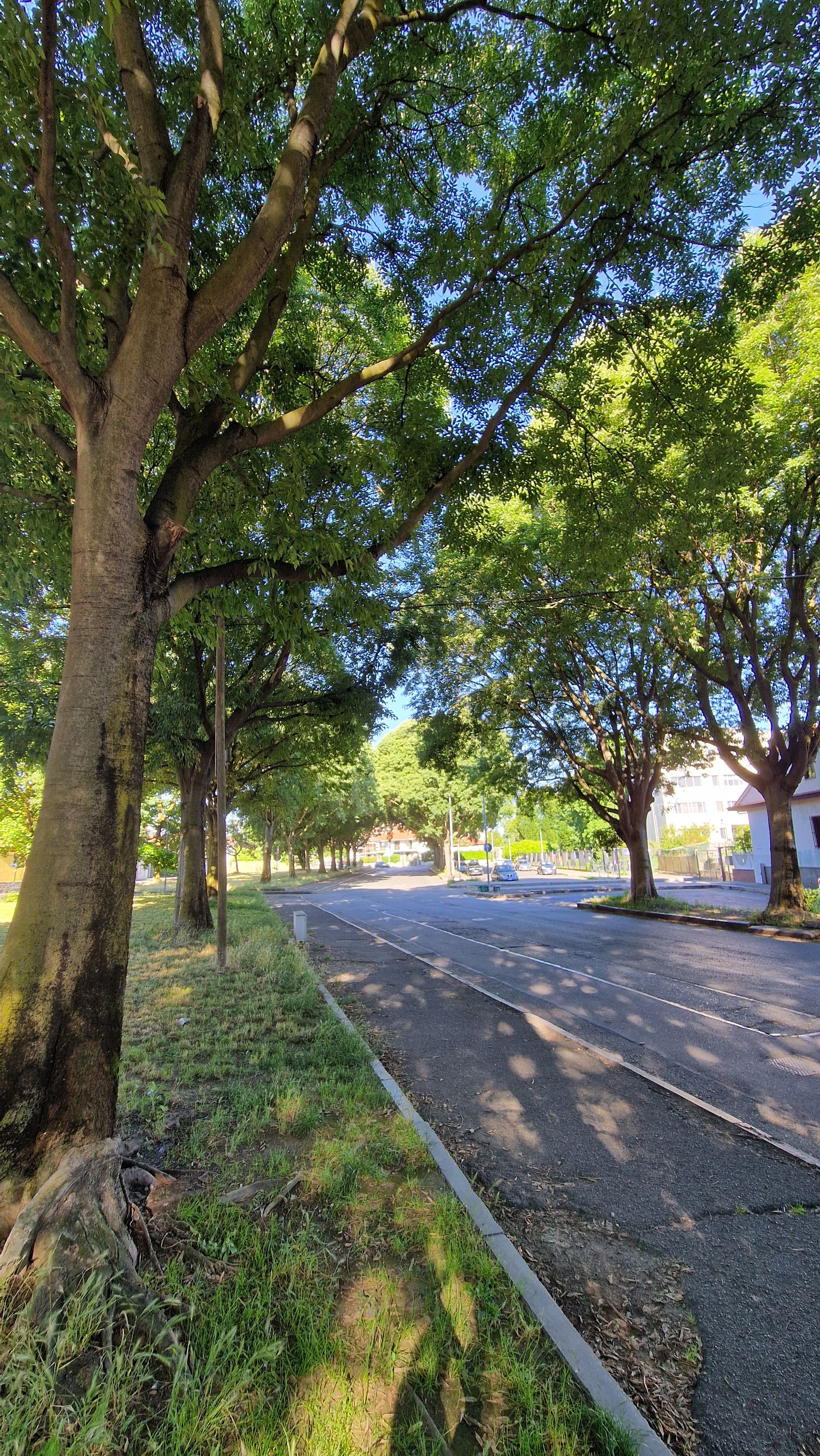 image-20