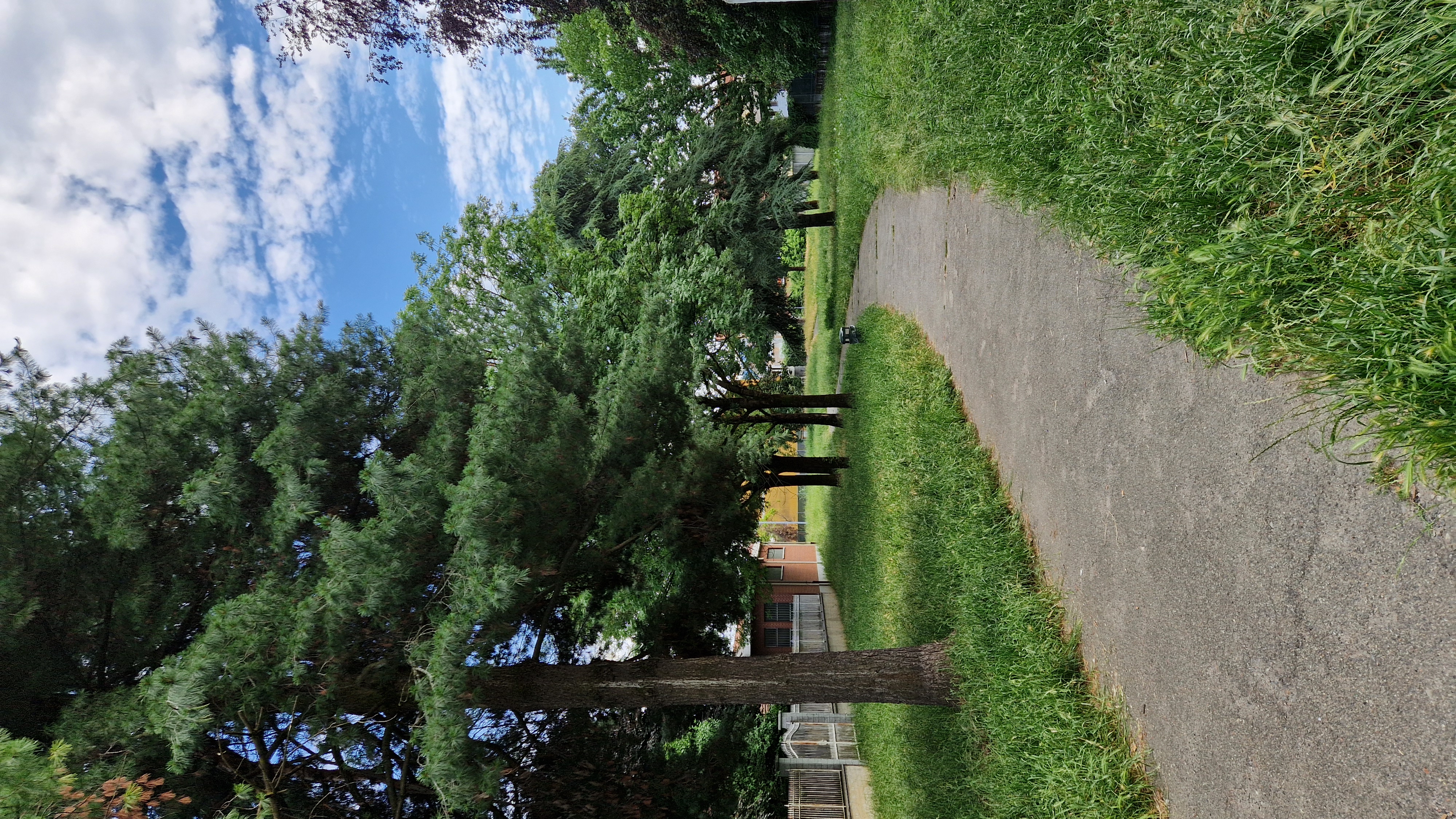 image-23