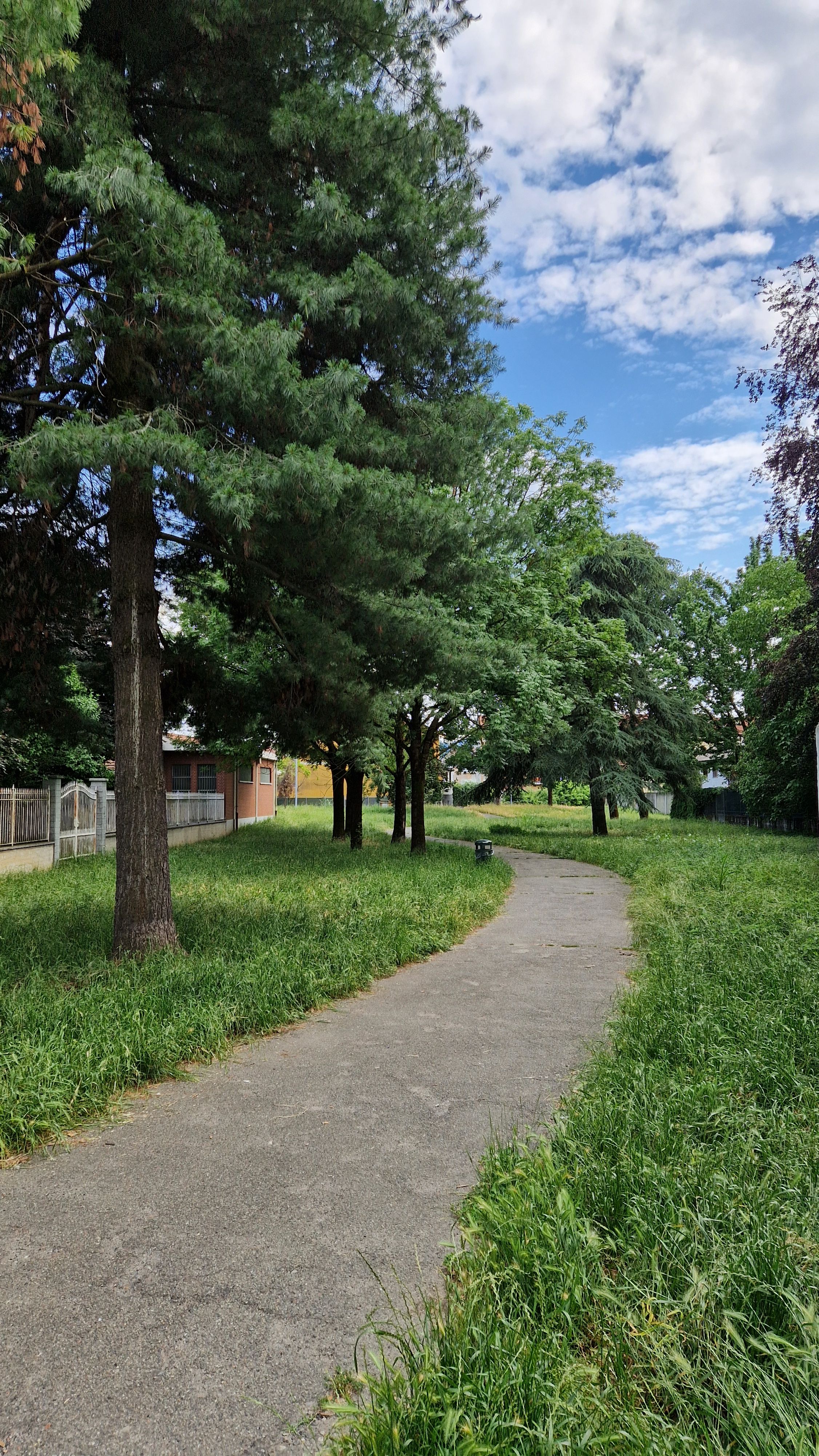image-23