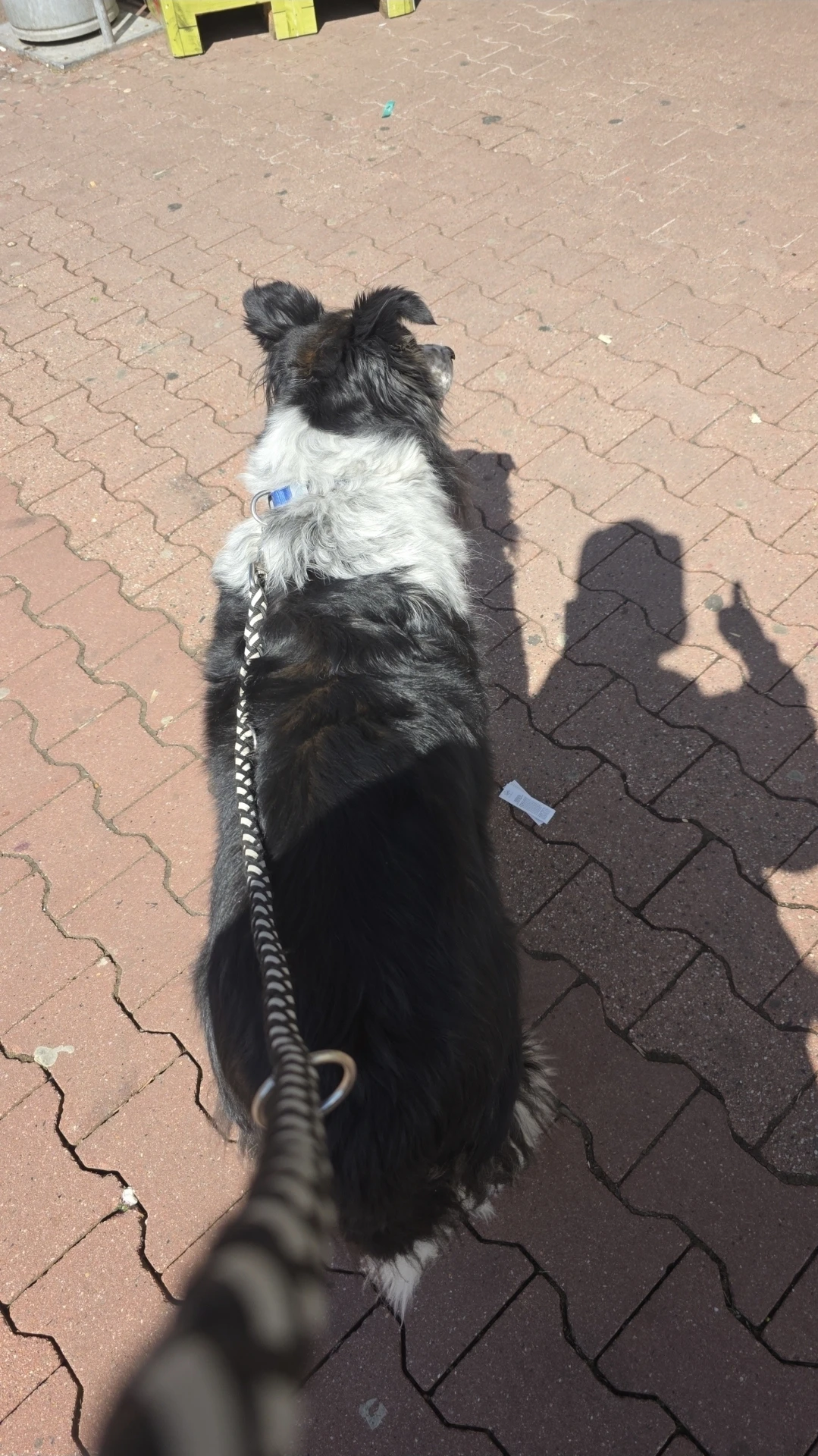 image-5